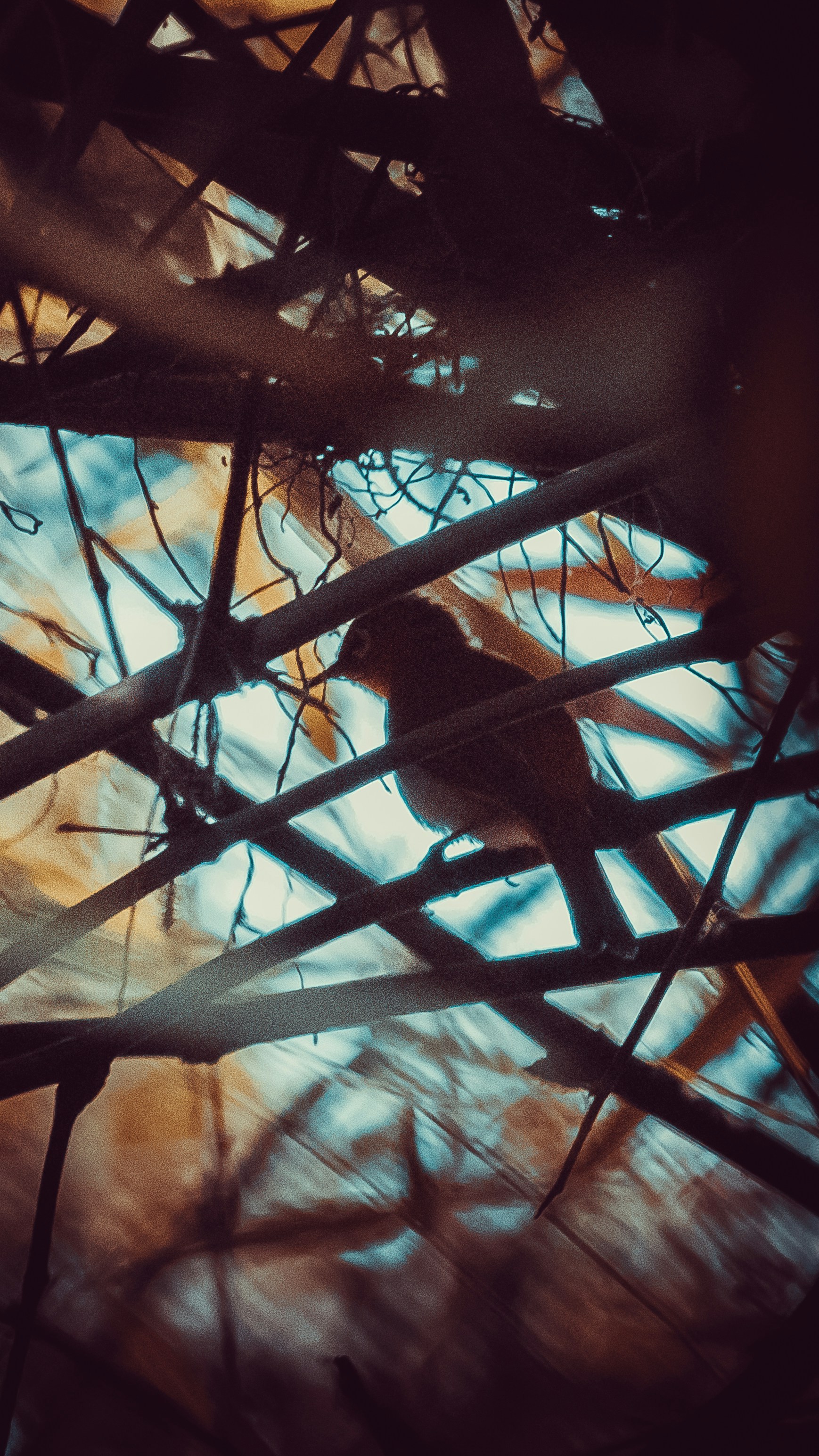 Photo by yuvraj_shivhare