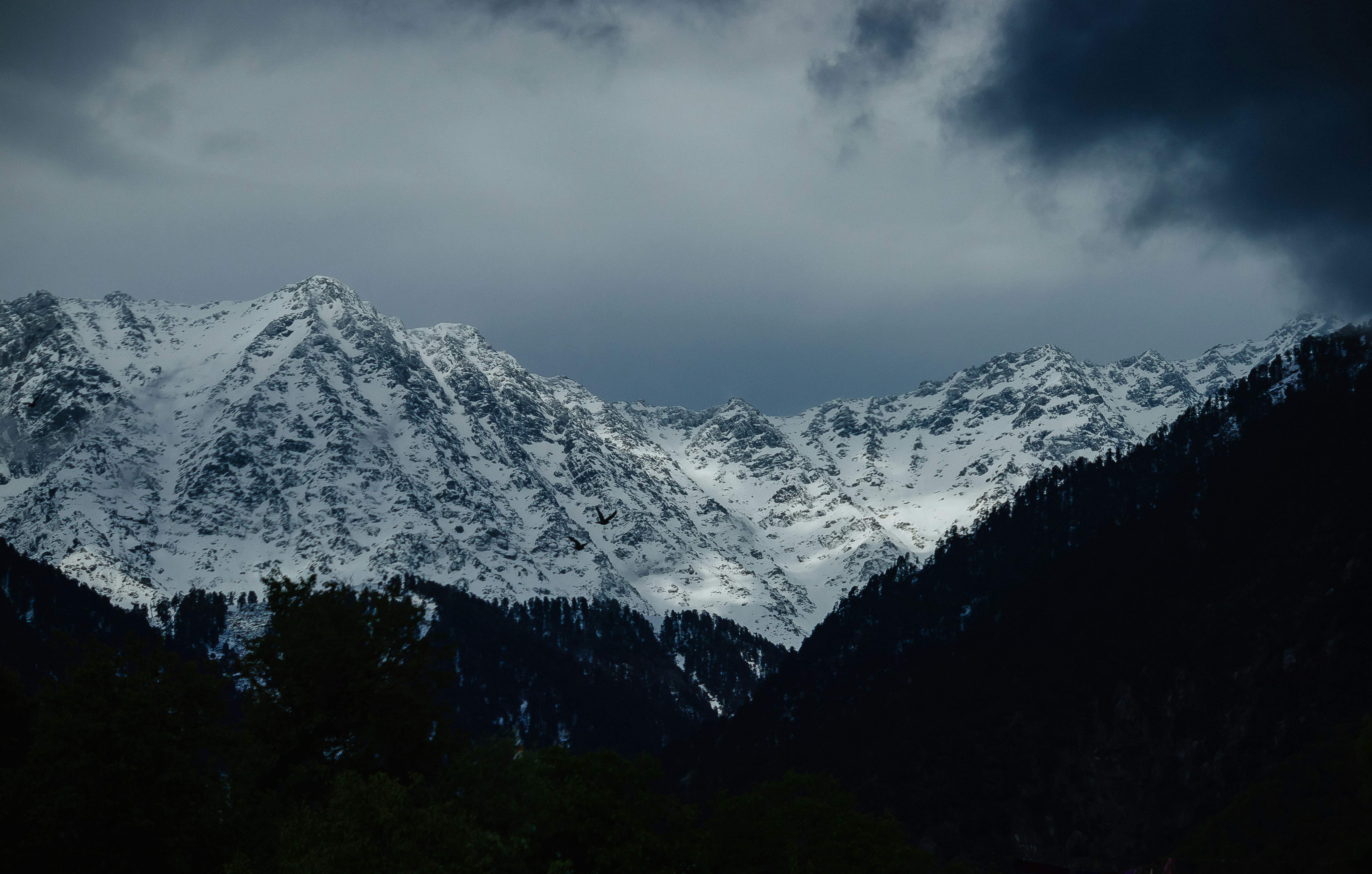 Photo by yuvraj_shivhare