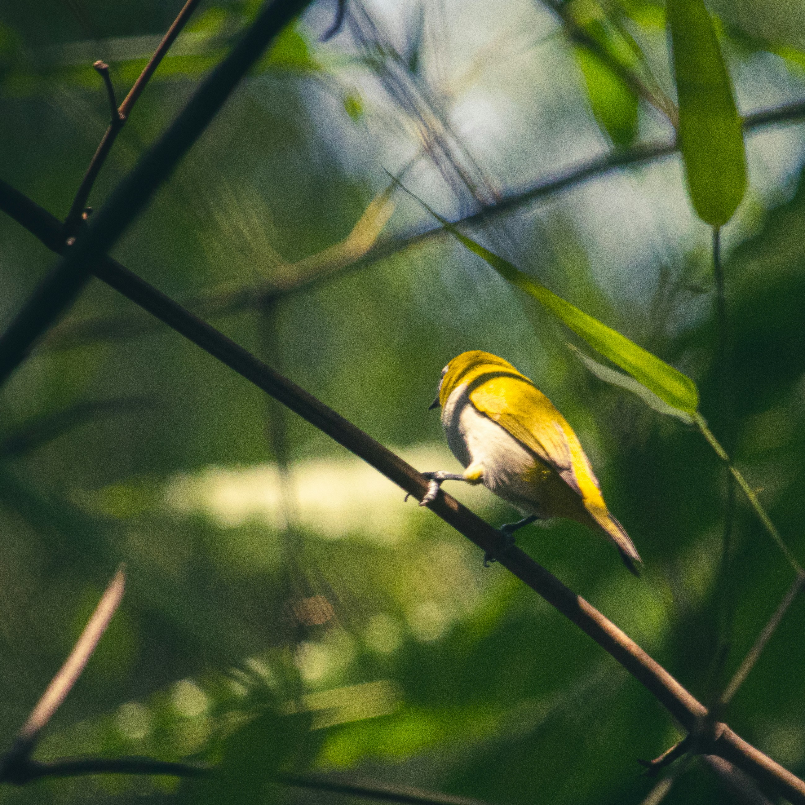 Photo by yuvraj_shivhare