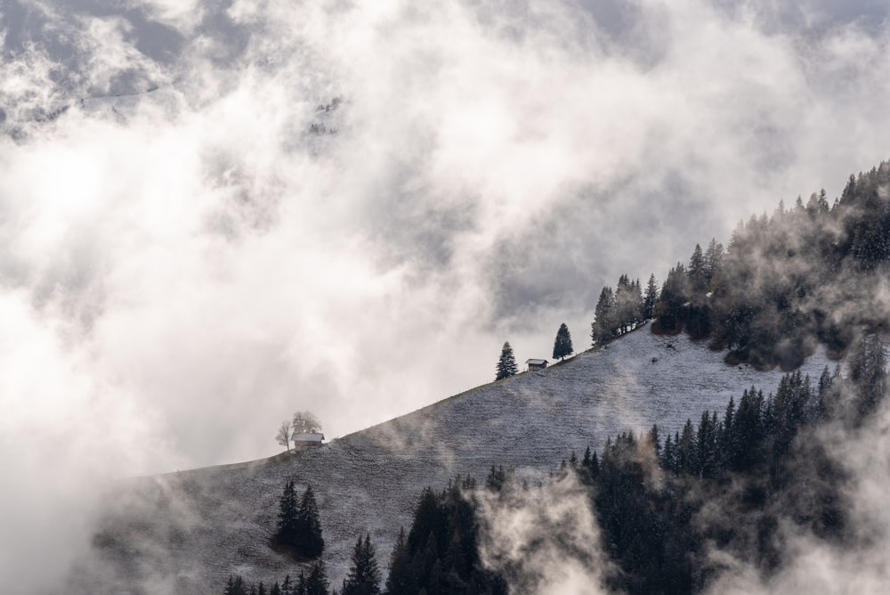 雲と木々に覆われた山