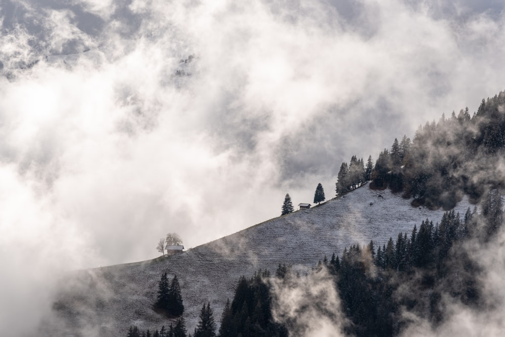 a mountain covered in clouds and trees