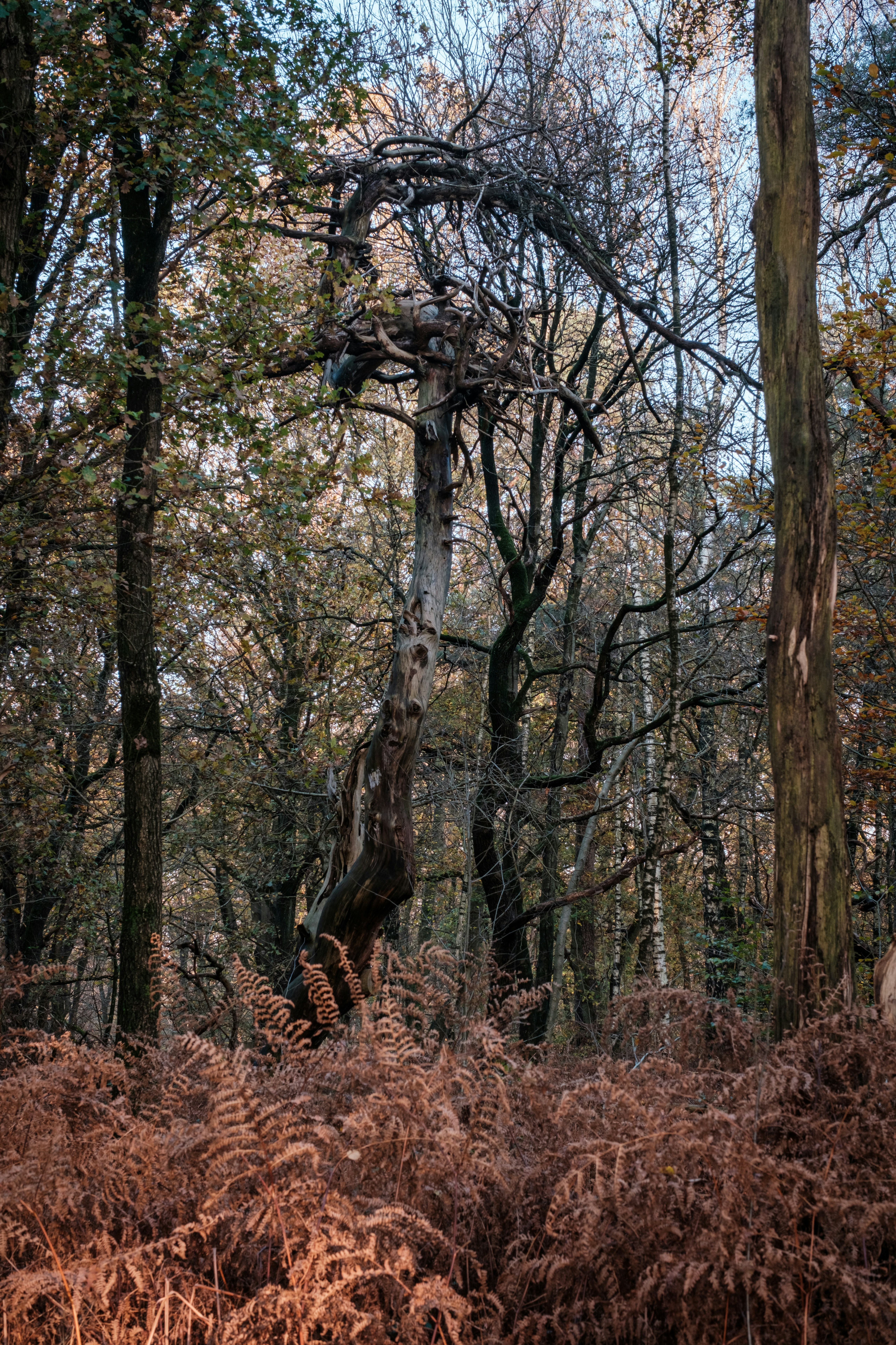 Photo by haberdoedas2