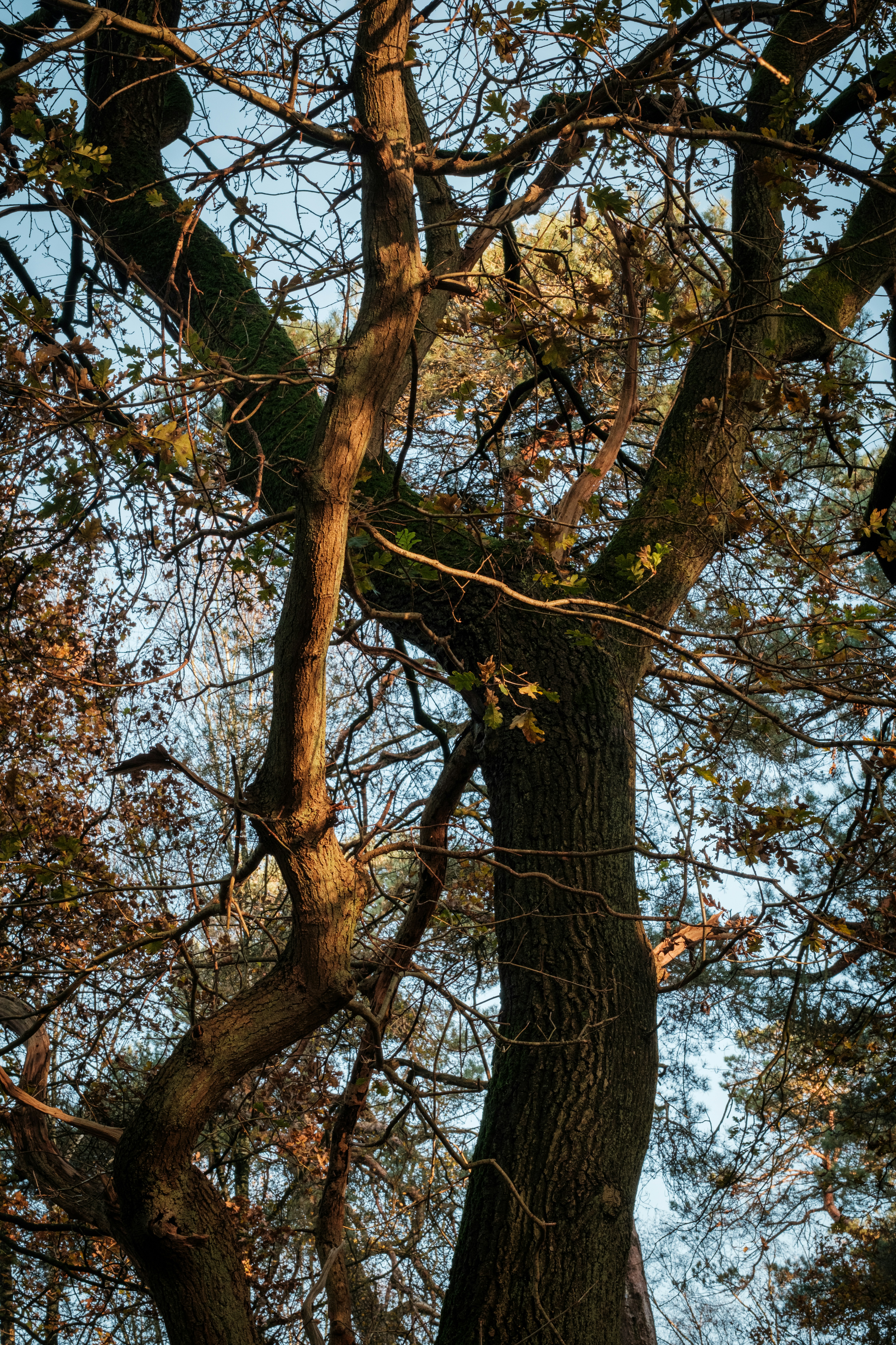 Photo by haberdoedas2