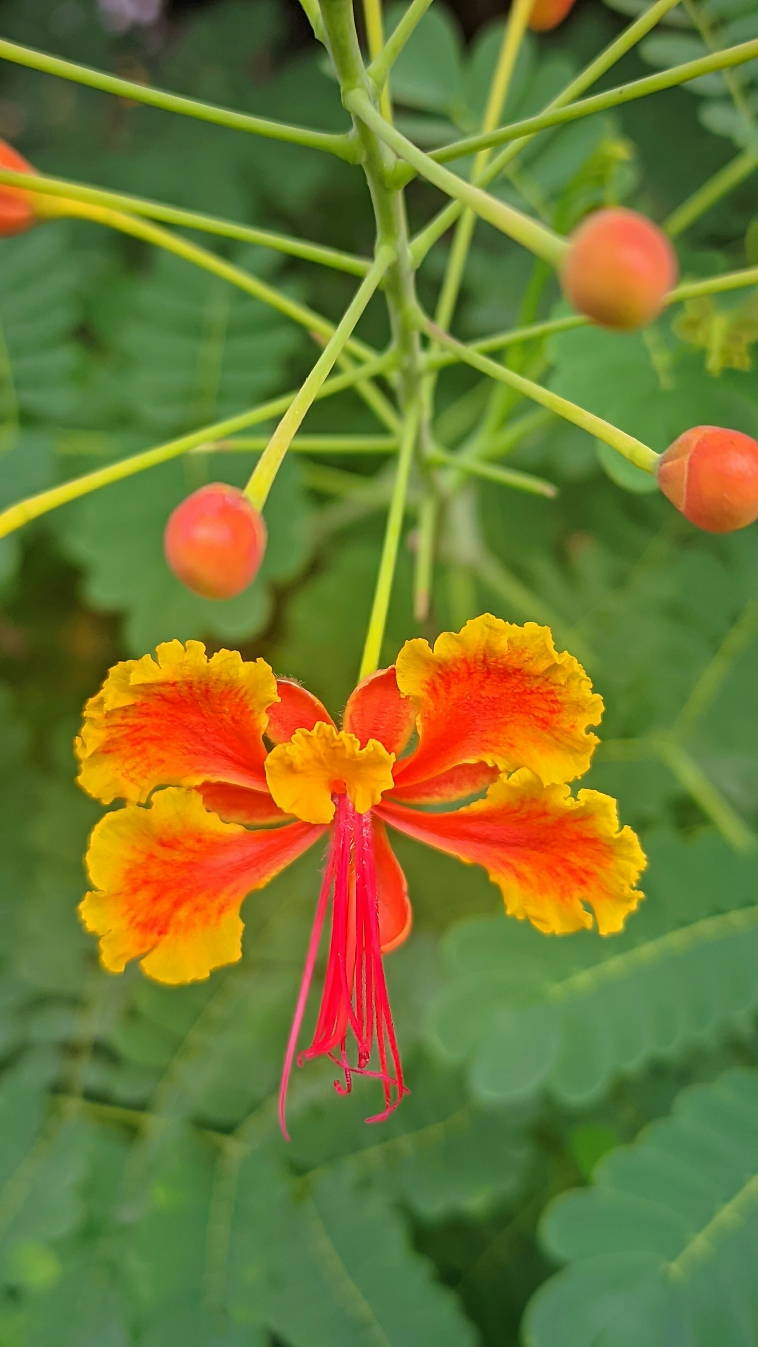 Photo by hritikgaikwad1908