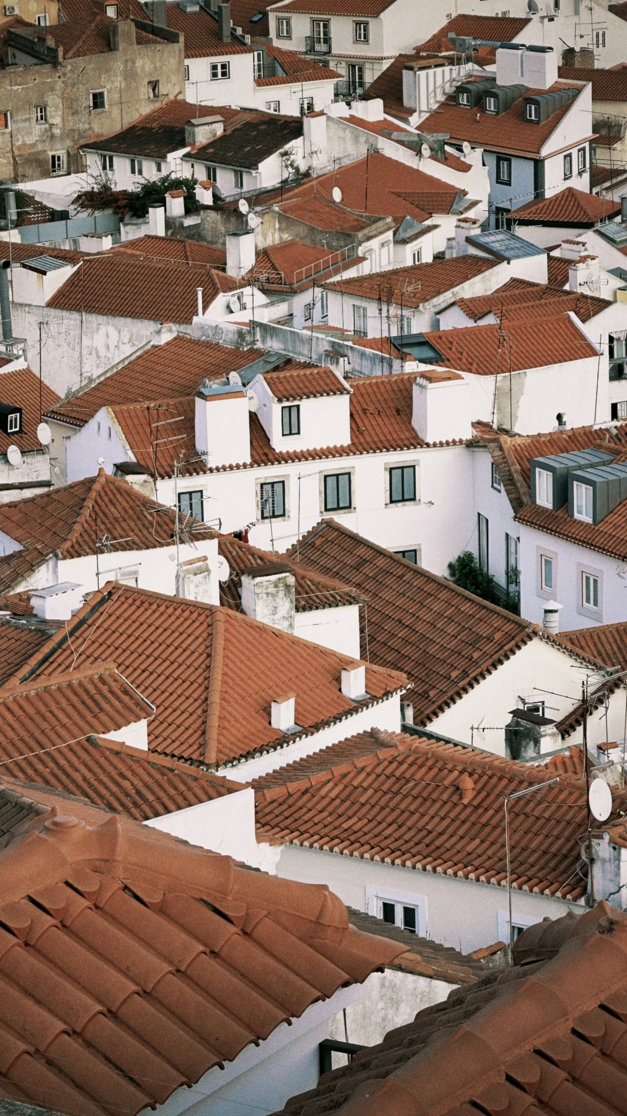 Photo by bojovicsara