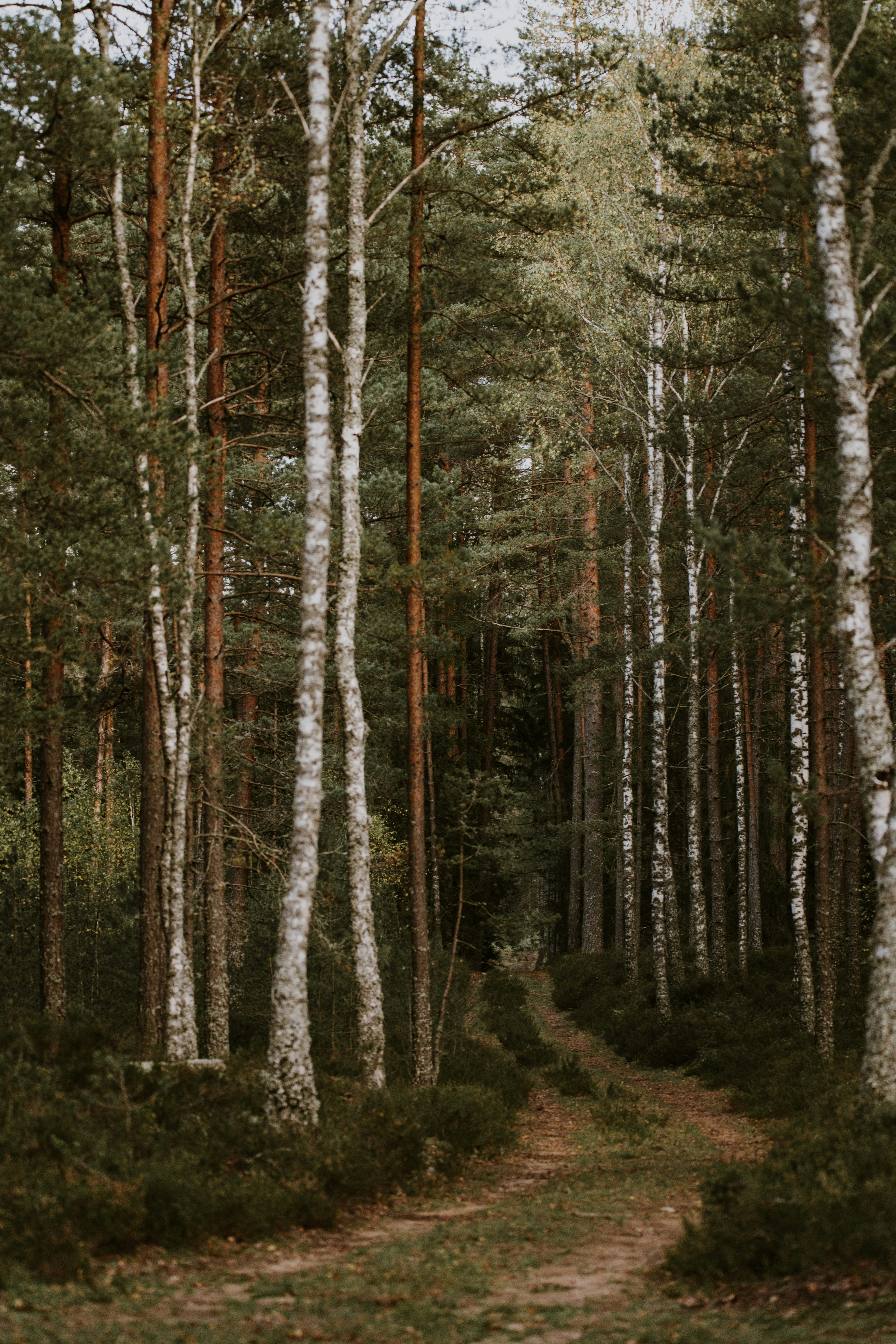 Photo by anitaaustvika