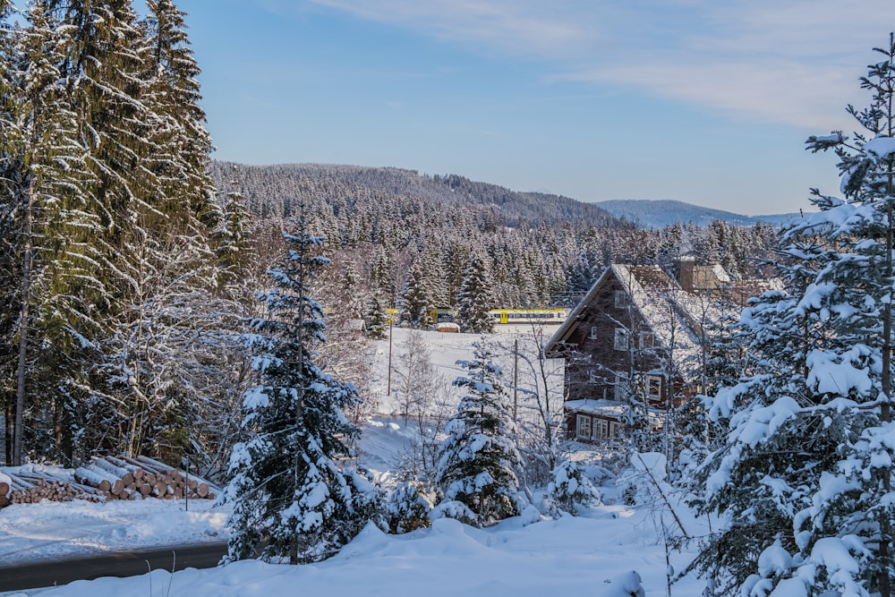 a house surrounded by snow covered trees in the mountains