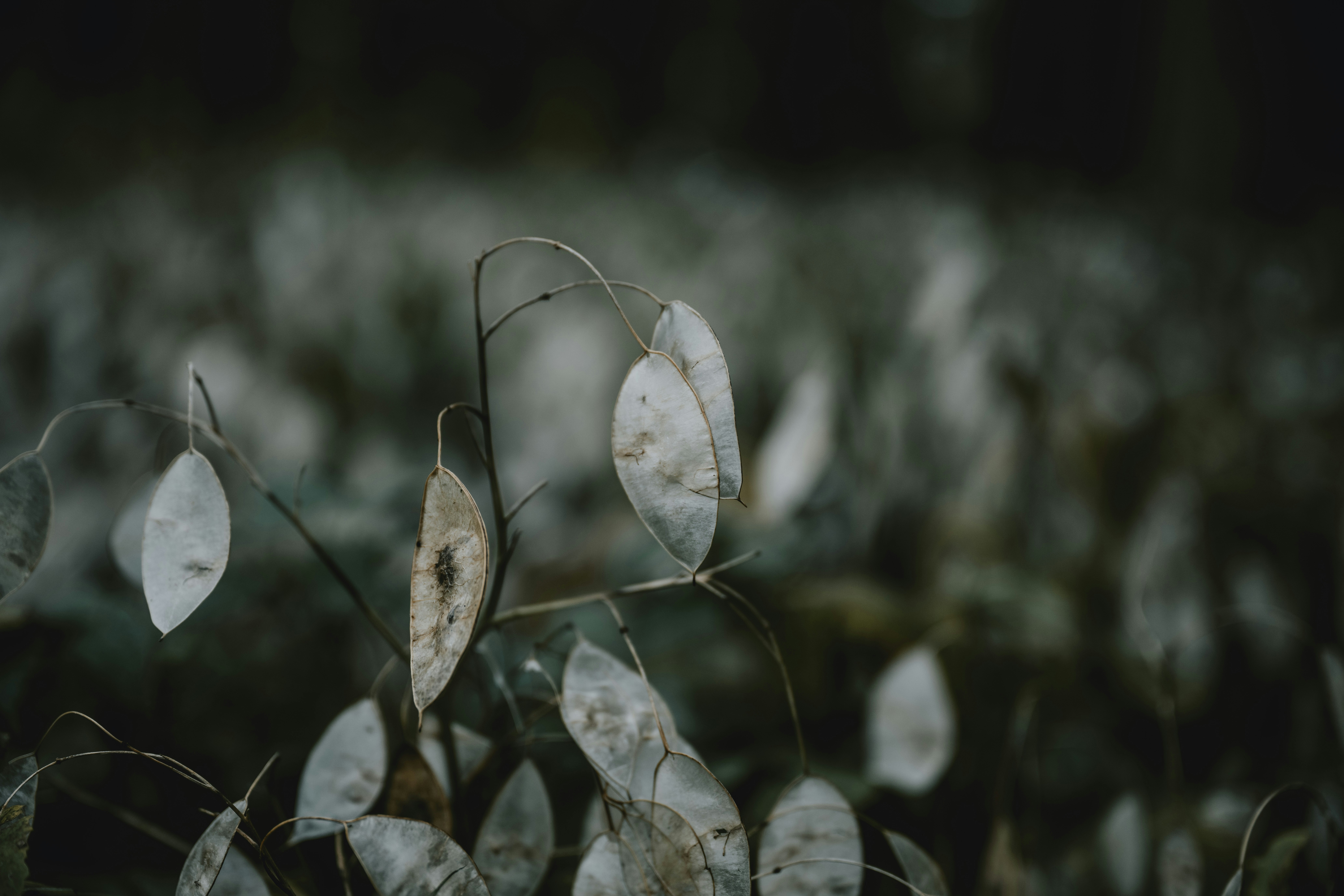 Photo by anitaaustvika