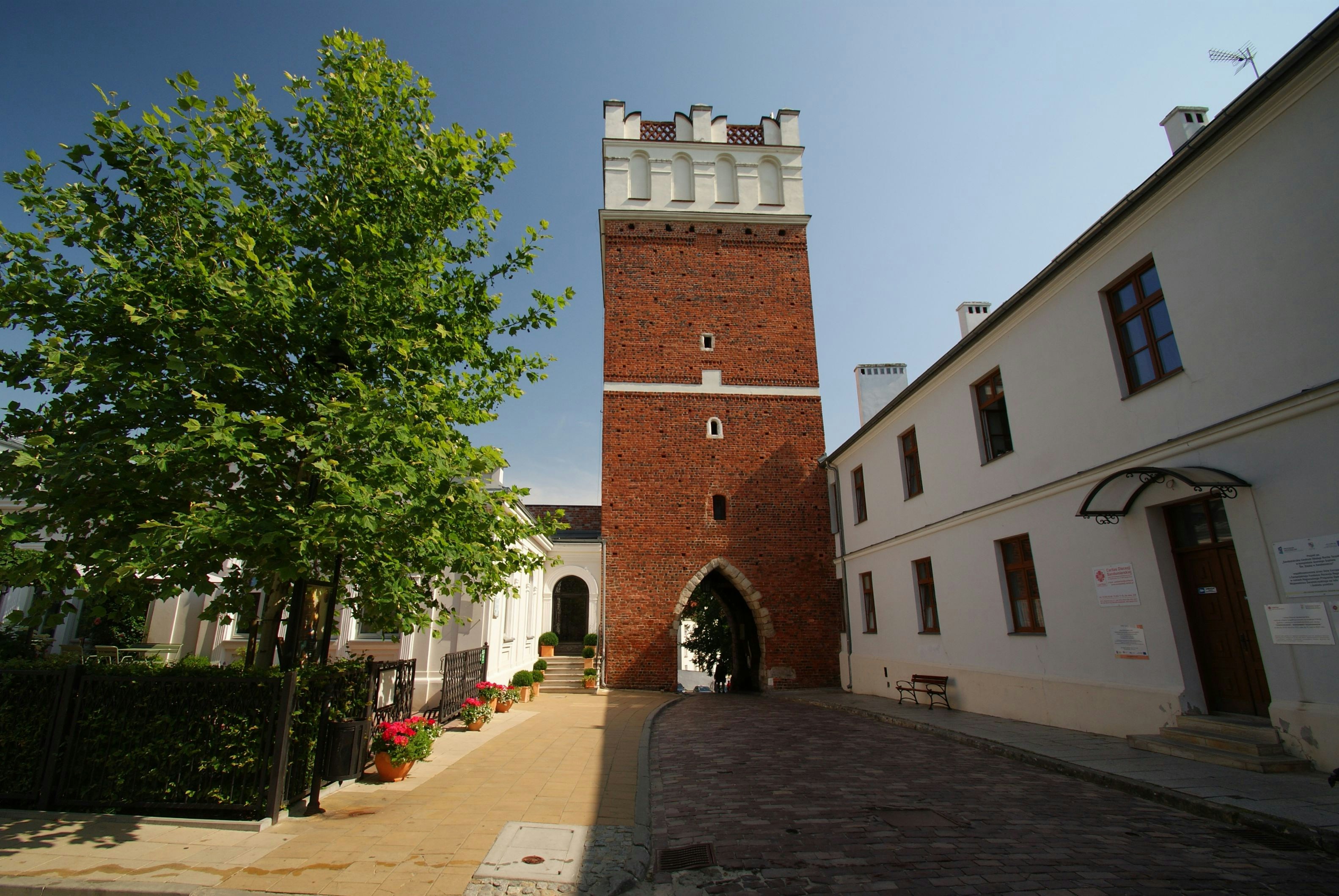 Photo by piotrfotodigital