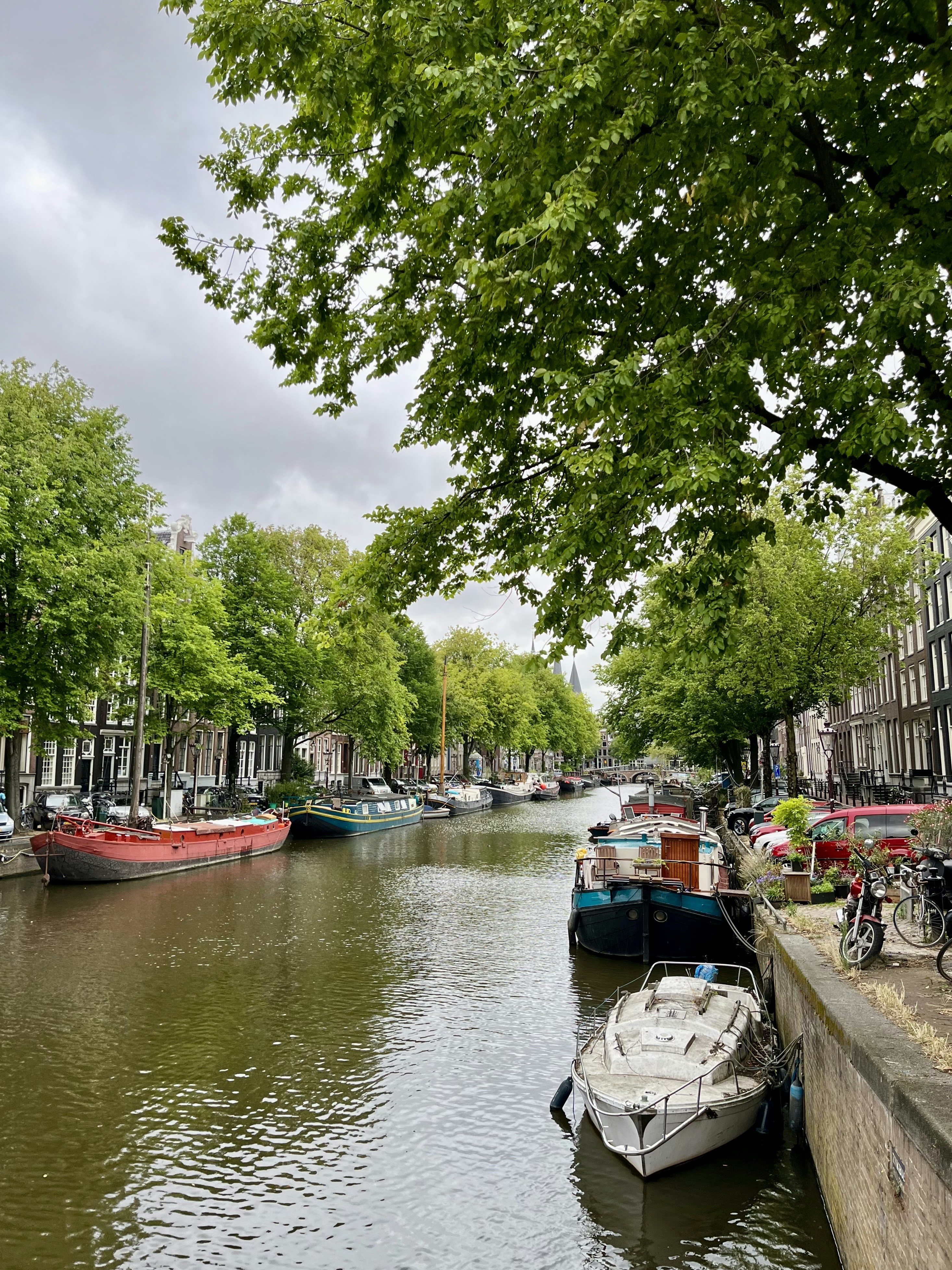 Photo by ezgideliklitas