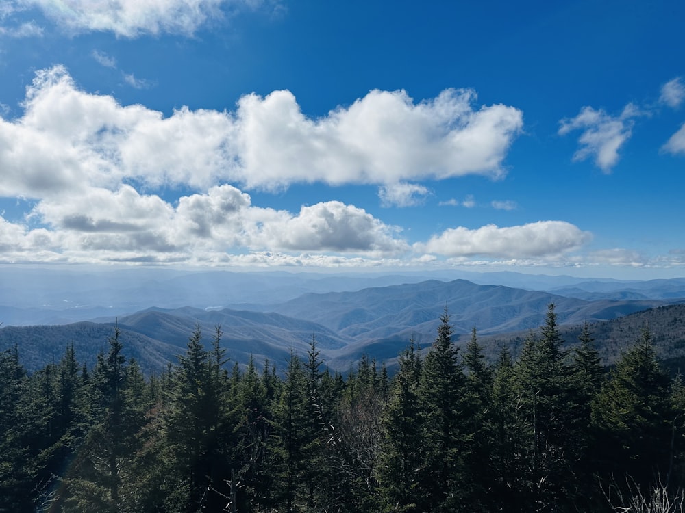 a scenic view of a mountain range with trees in the foreground