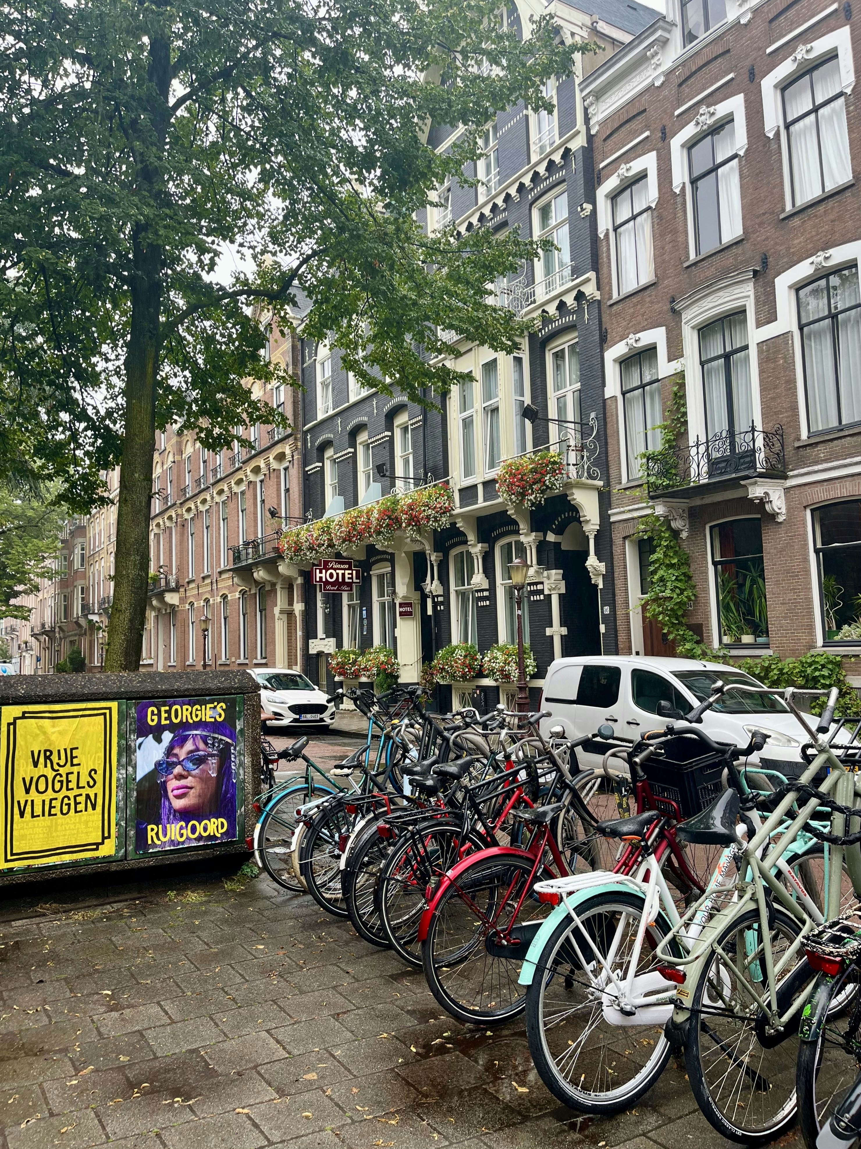 Photo by ezgideliklitas