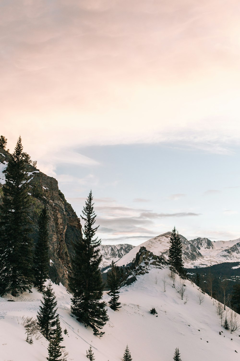 a snow covered mountain with trees on the side of it