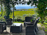 Relaxing outdoor seating area surrounded by blooming lavender and cypress trees.