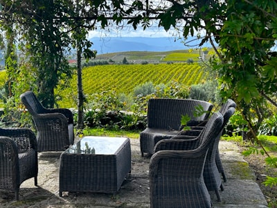 A serene backyard with outdoor seating.