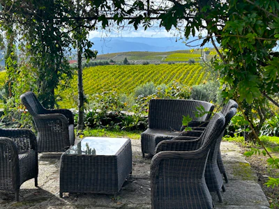 Guests enjoying a quiet moment by the outdoor seating area surrounded by nature.
