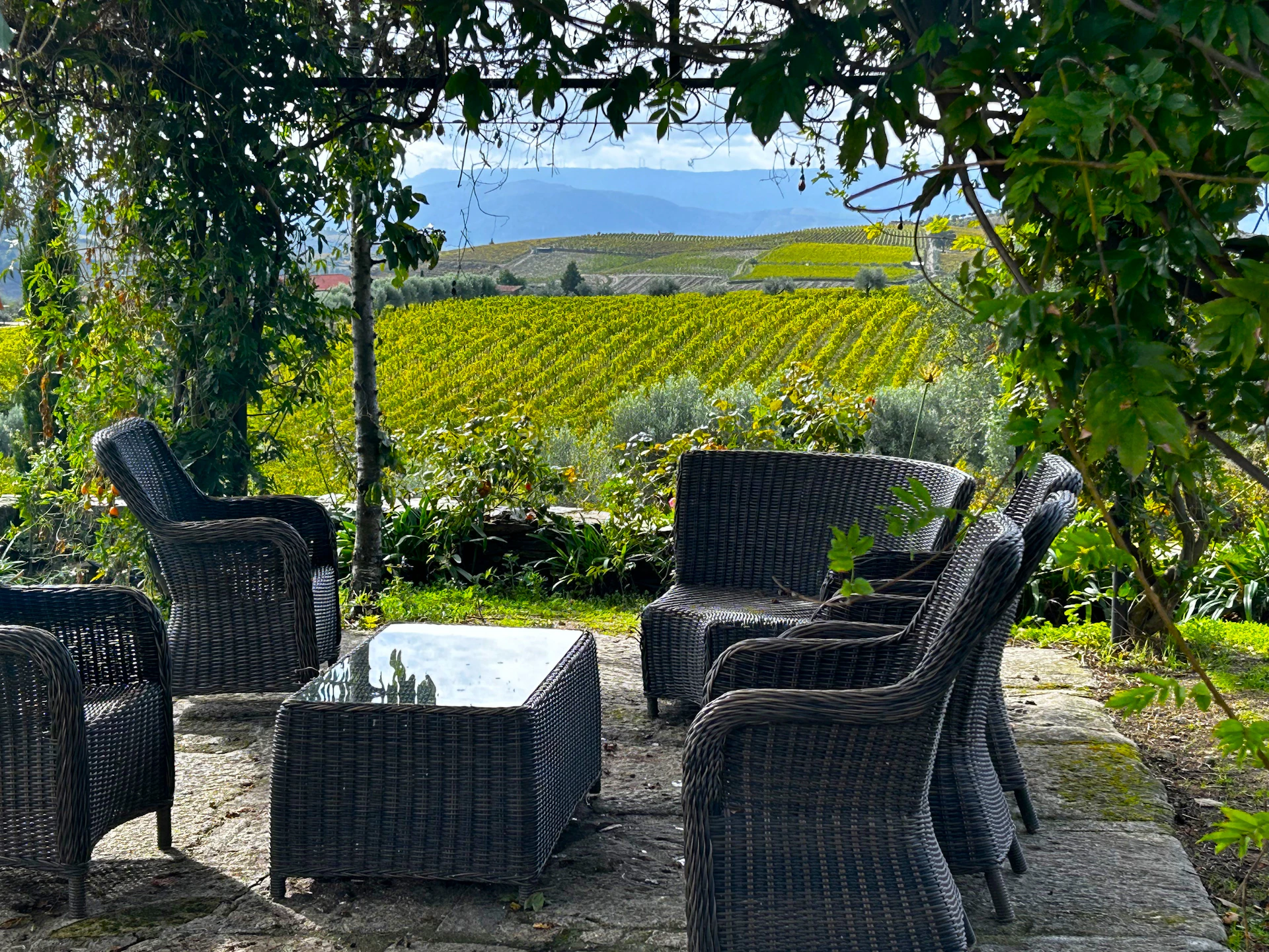 Peaceful terrace area at Casa Serenă with comfortable seating surrounded by greenery.