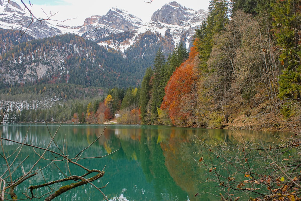 a lake surrounded by mountains and trees