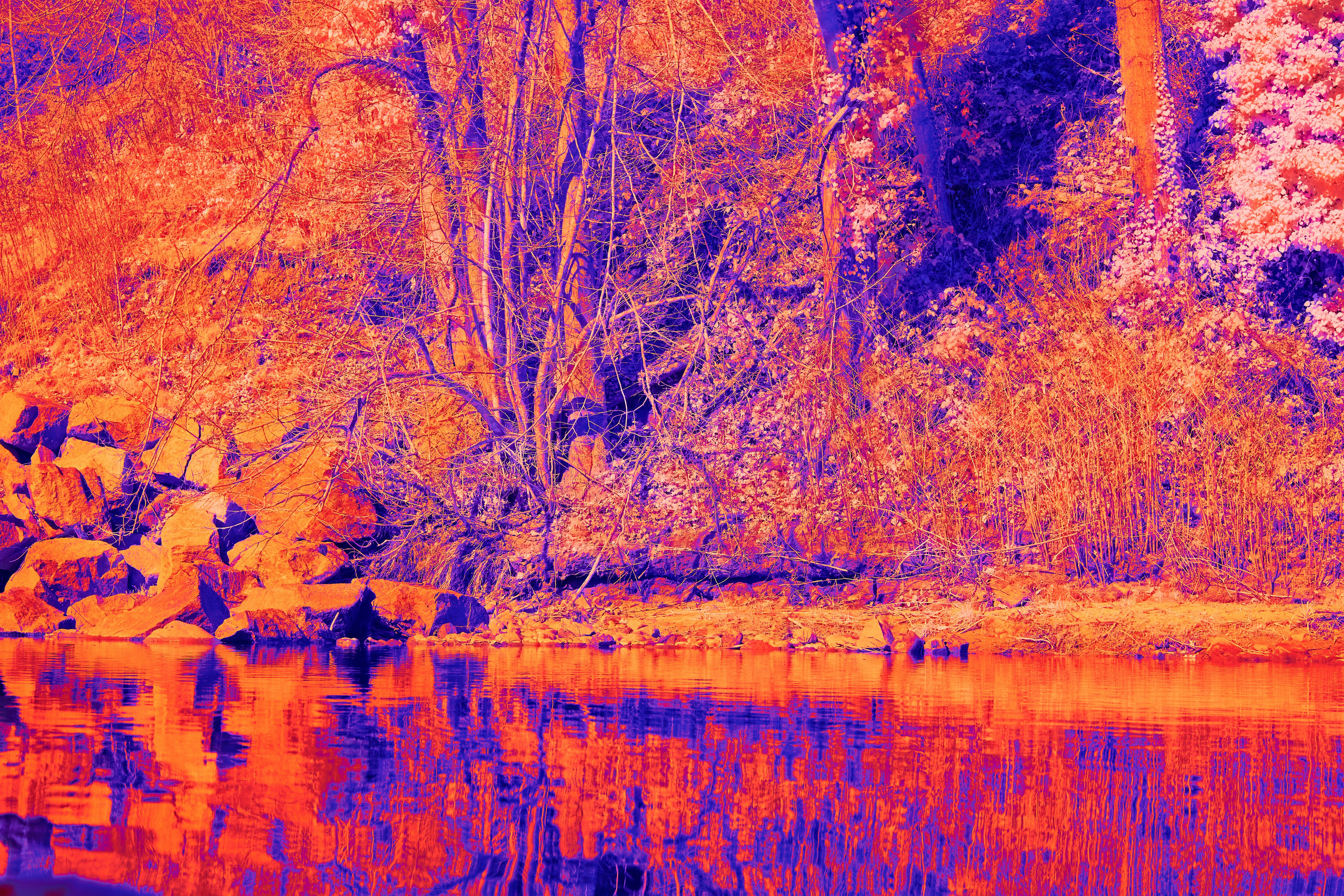 Photo by wolfgang_hasselmann