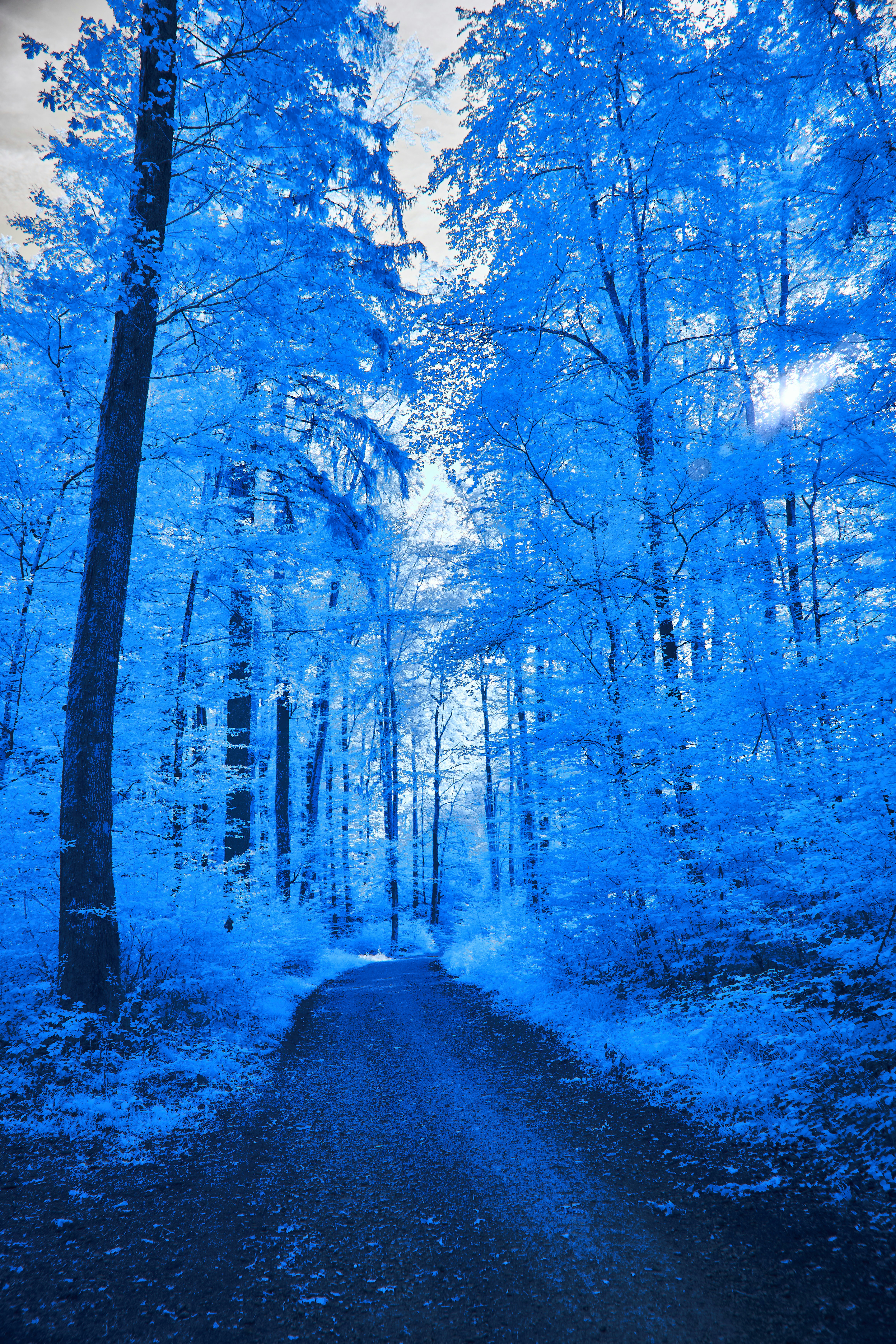 Photo by wolfgang_hasselmann