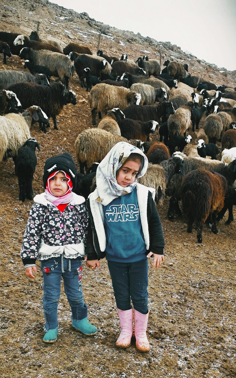 two children standing in front of a herd of sheep