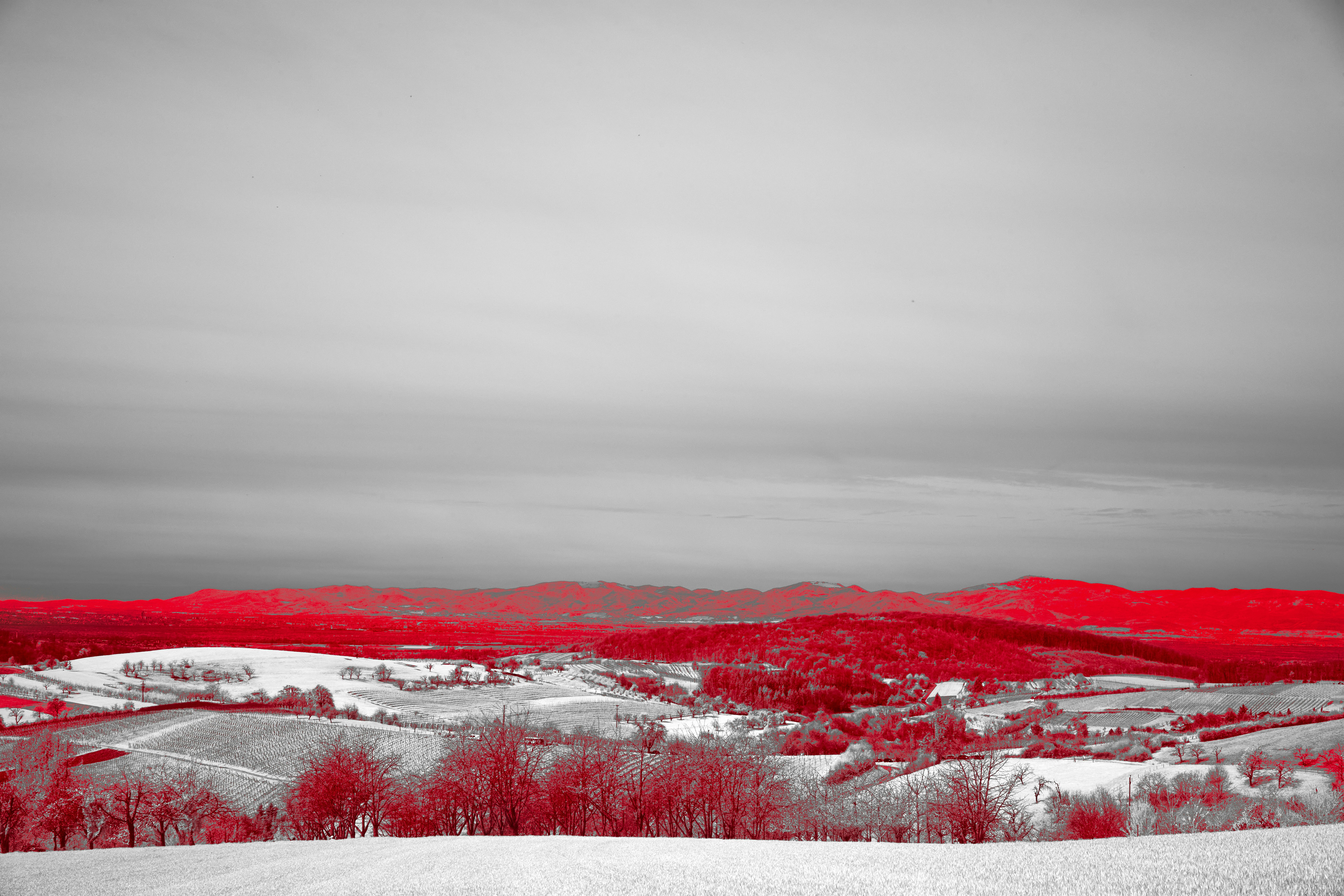 Photo by wolfgang_hasselmann