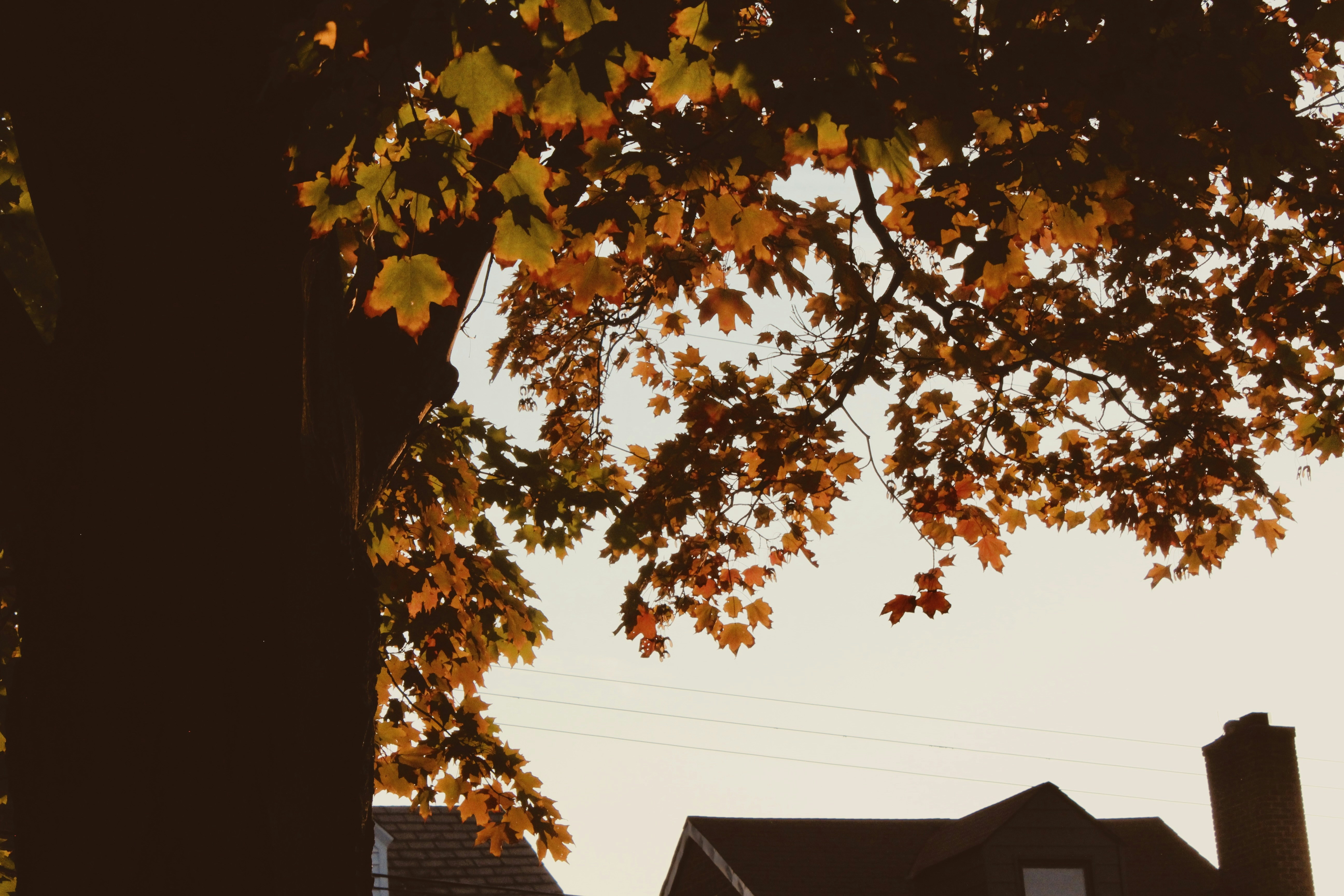 Photo by catherinergage