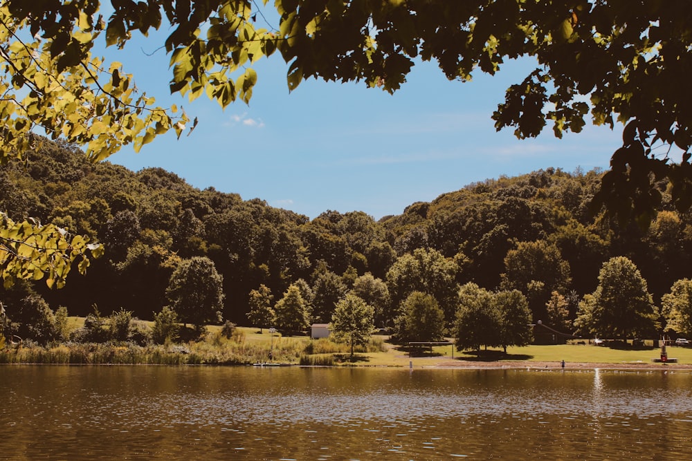 a lake surrounded by trees and a park bench