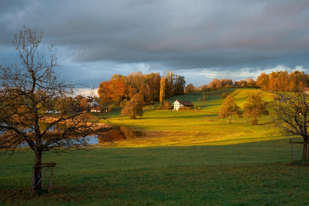 a grassy field with trees and a house in the distance