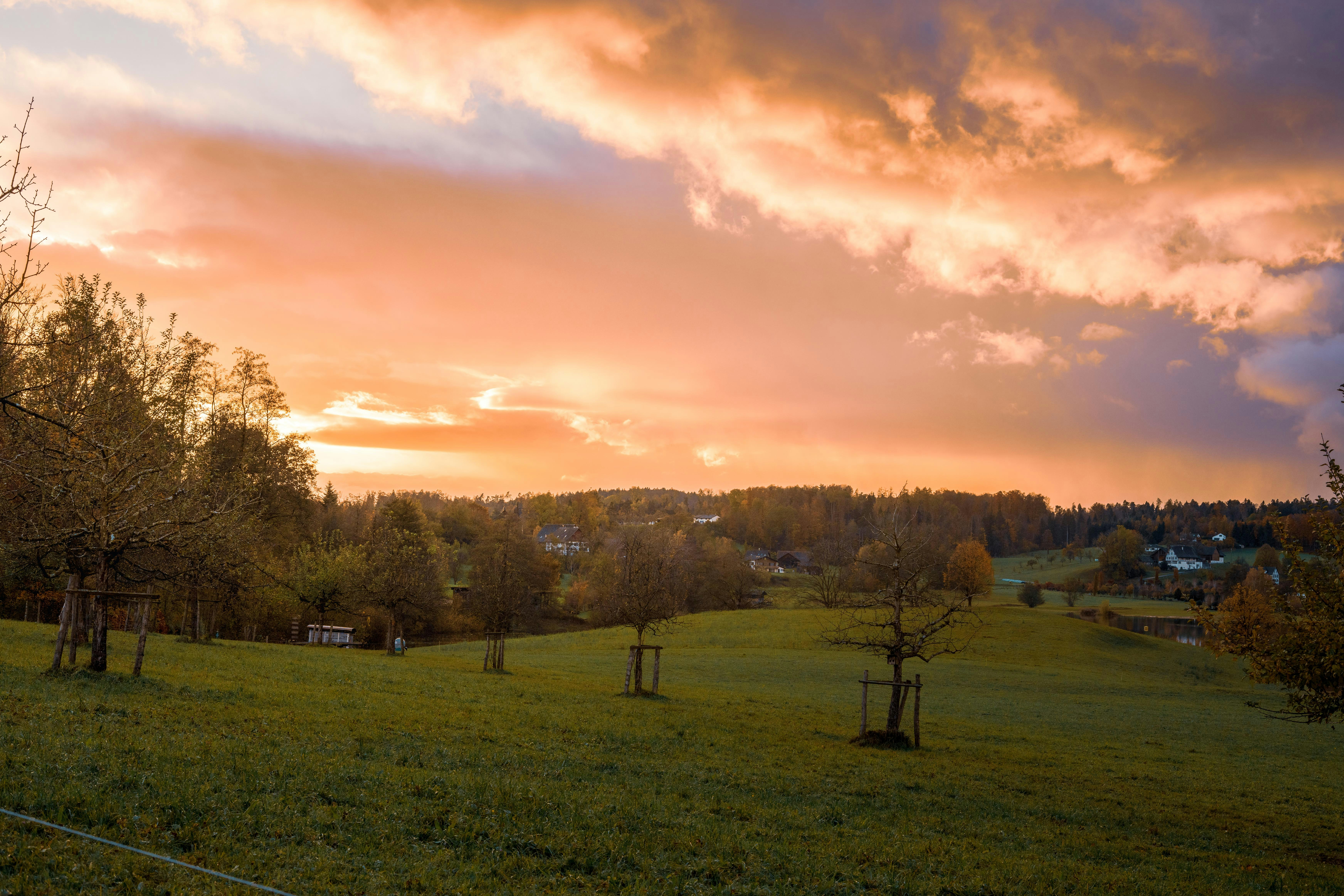 Photo by annastampfli