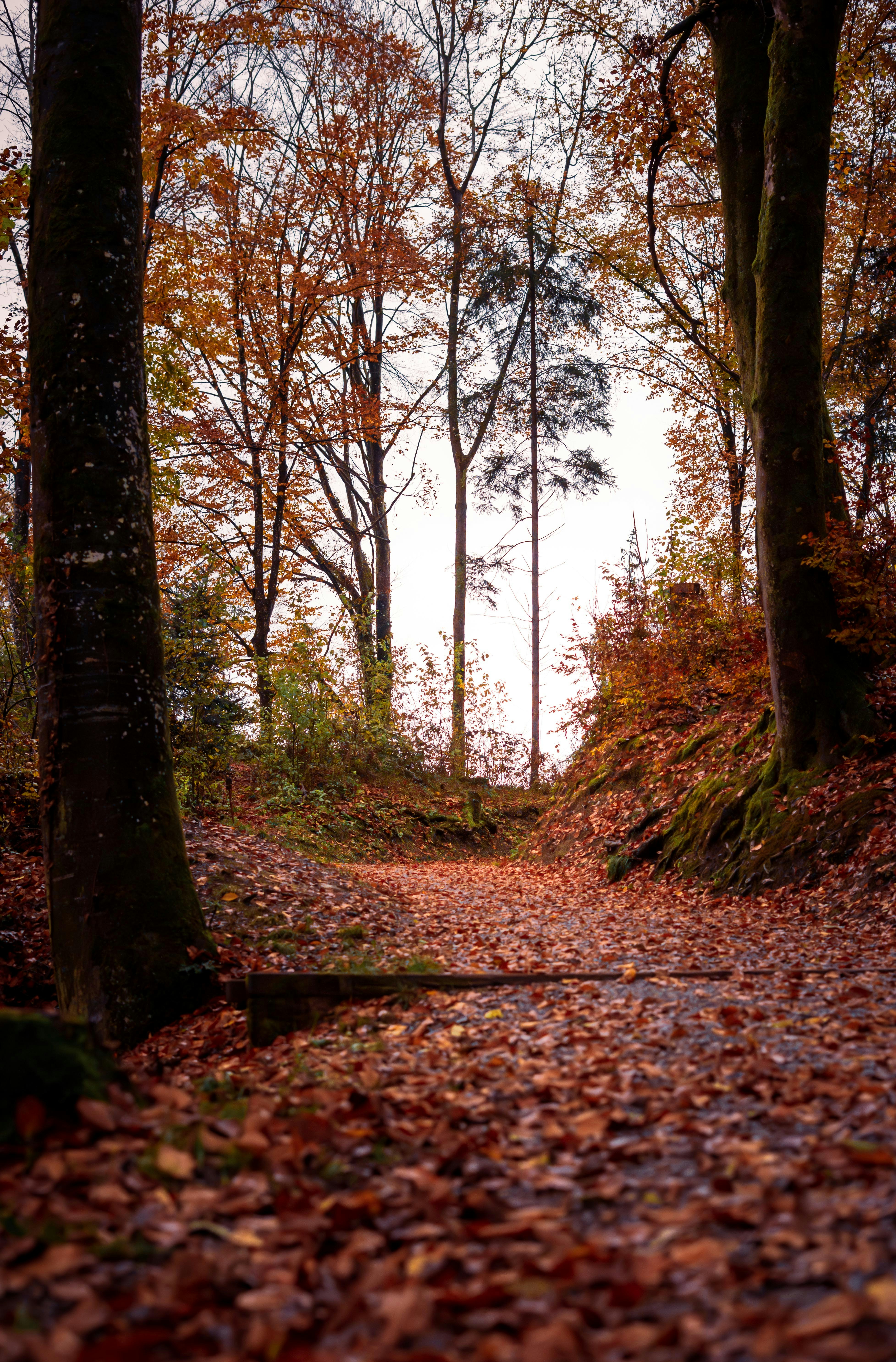 Photo by annastampfli