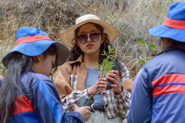 A group of volunteers planting trees together in a sunny field.