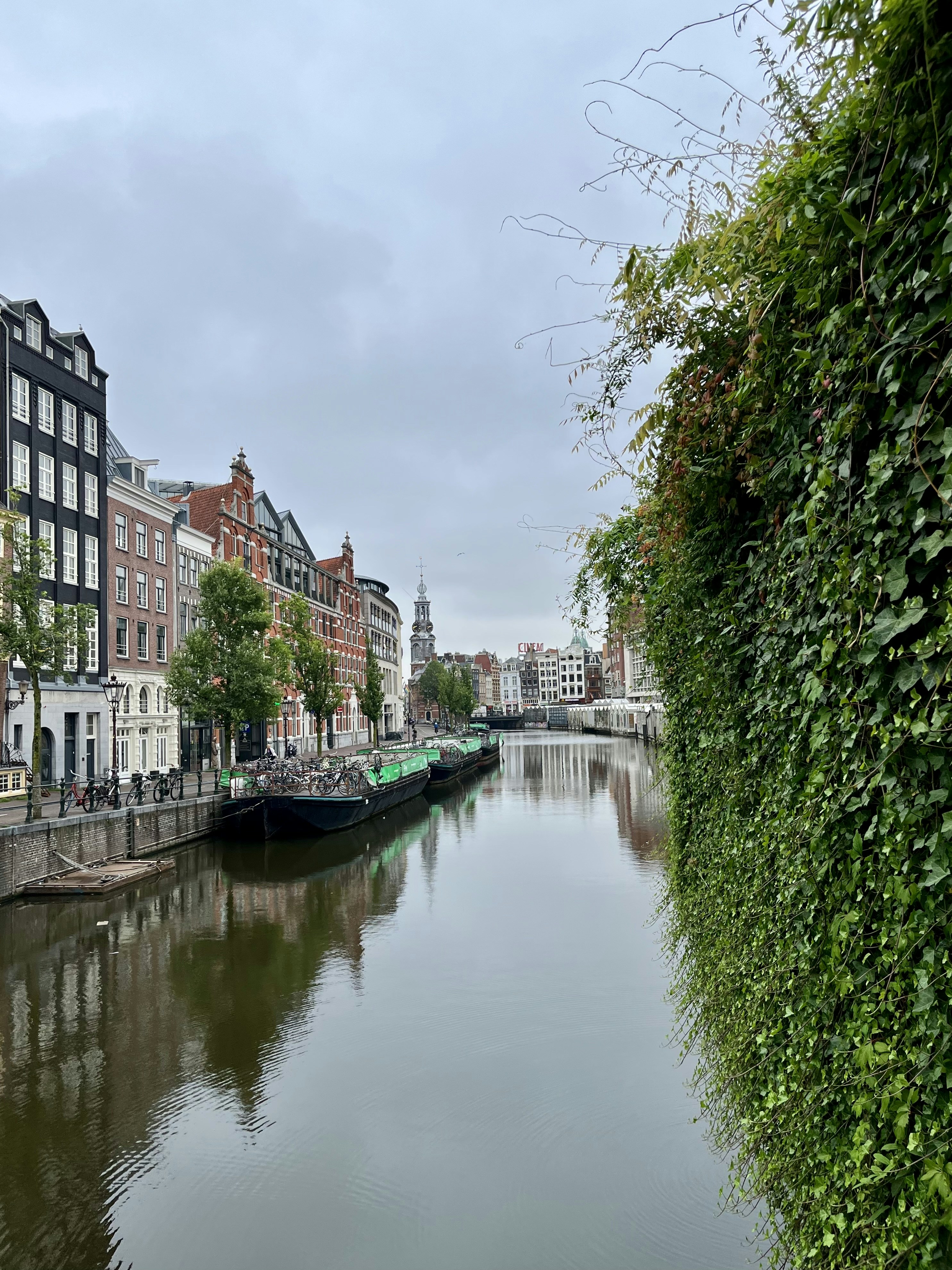 Photo by ezgideliklitas