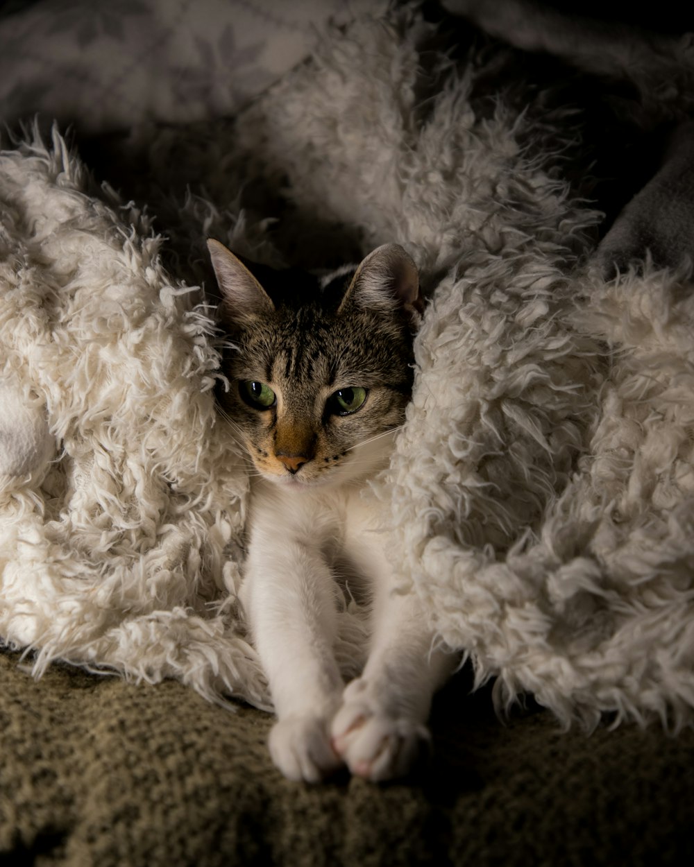un gato acostado encima de una manta blanca y esponjosa