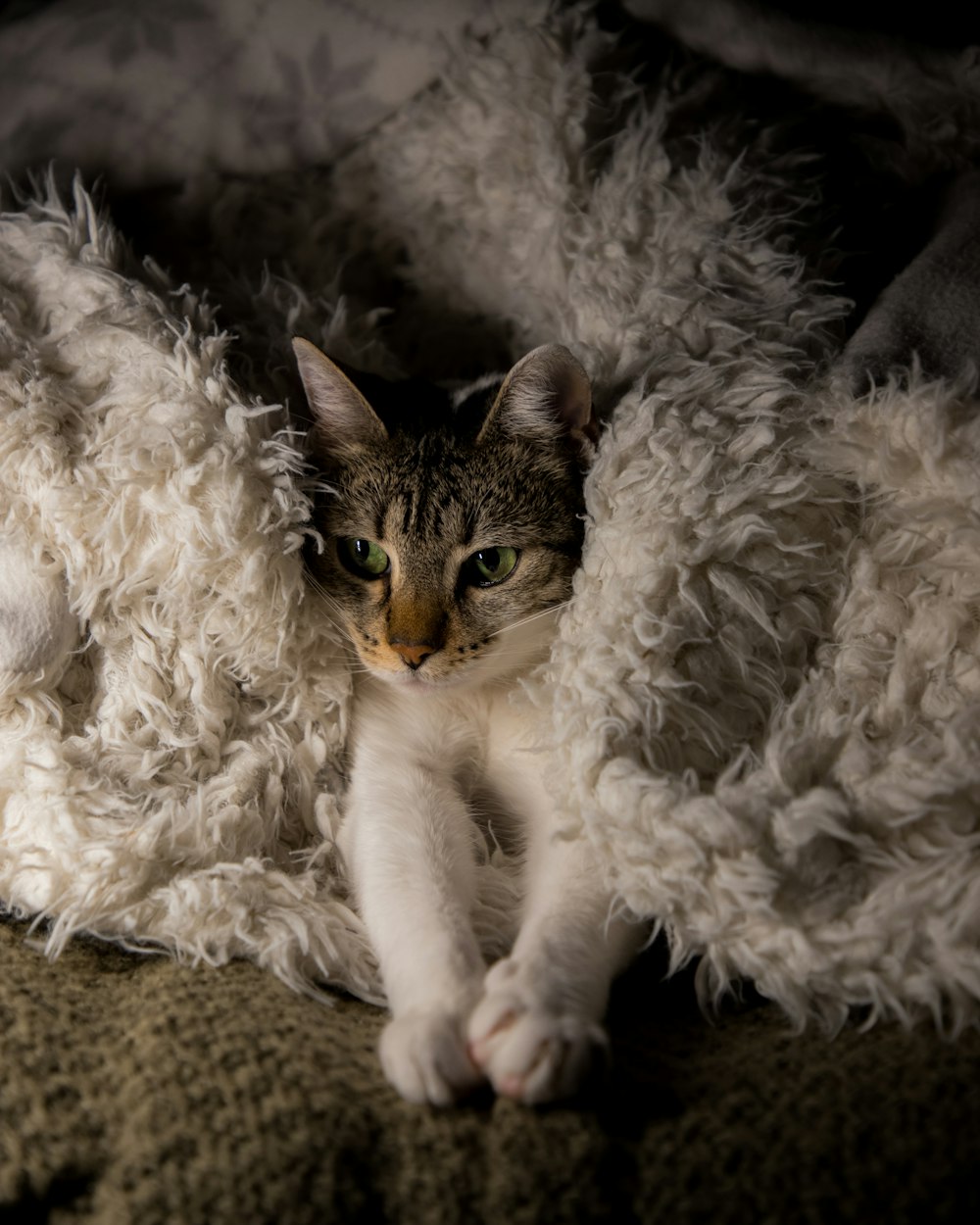 a cat laying on top of a fluffy white blanket