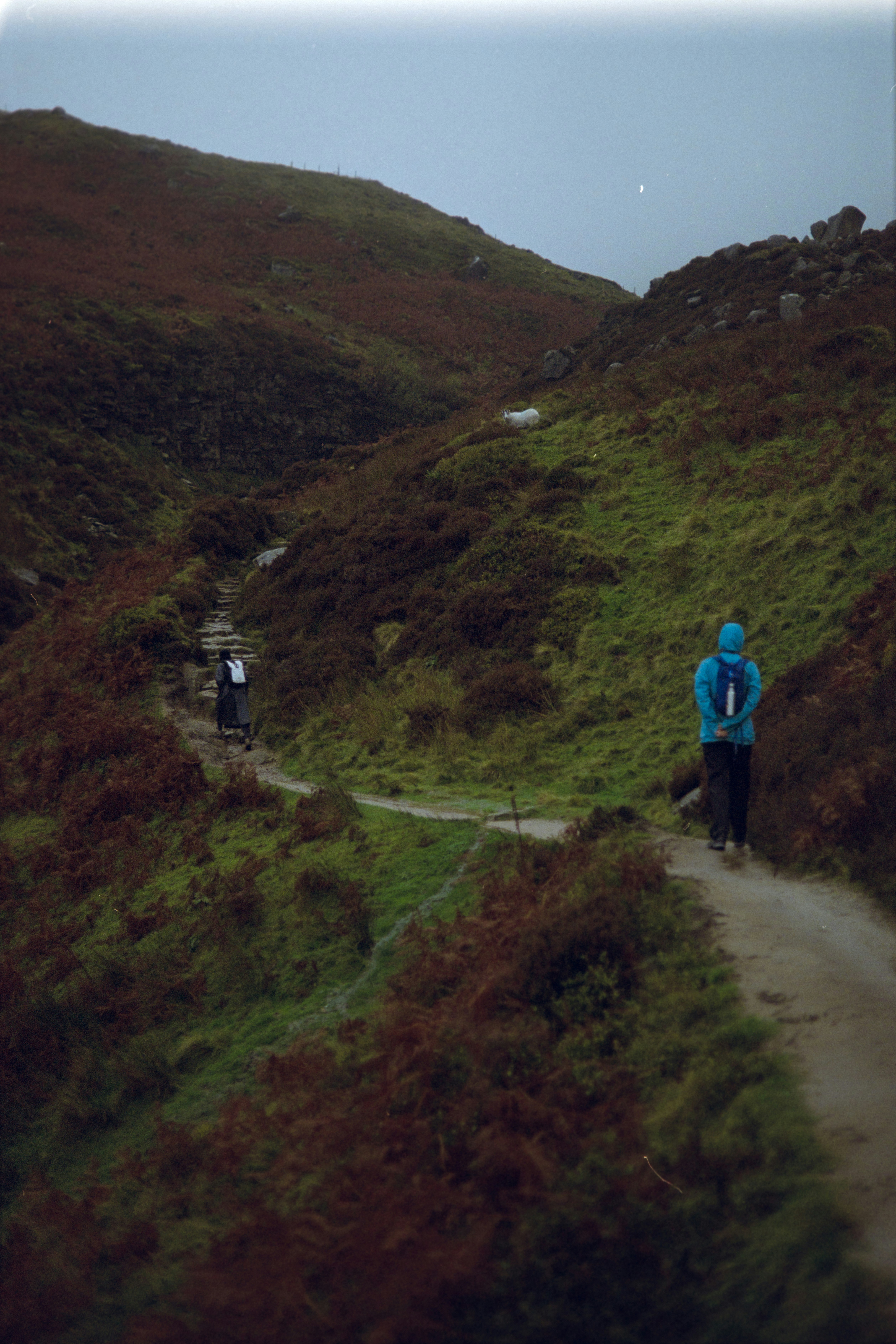 Photo by babikacharava