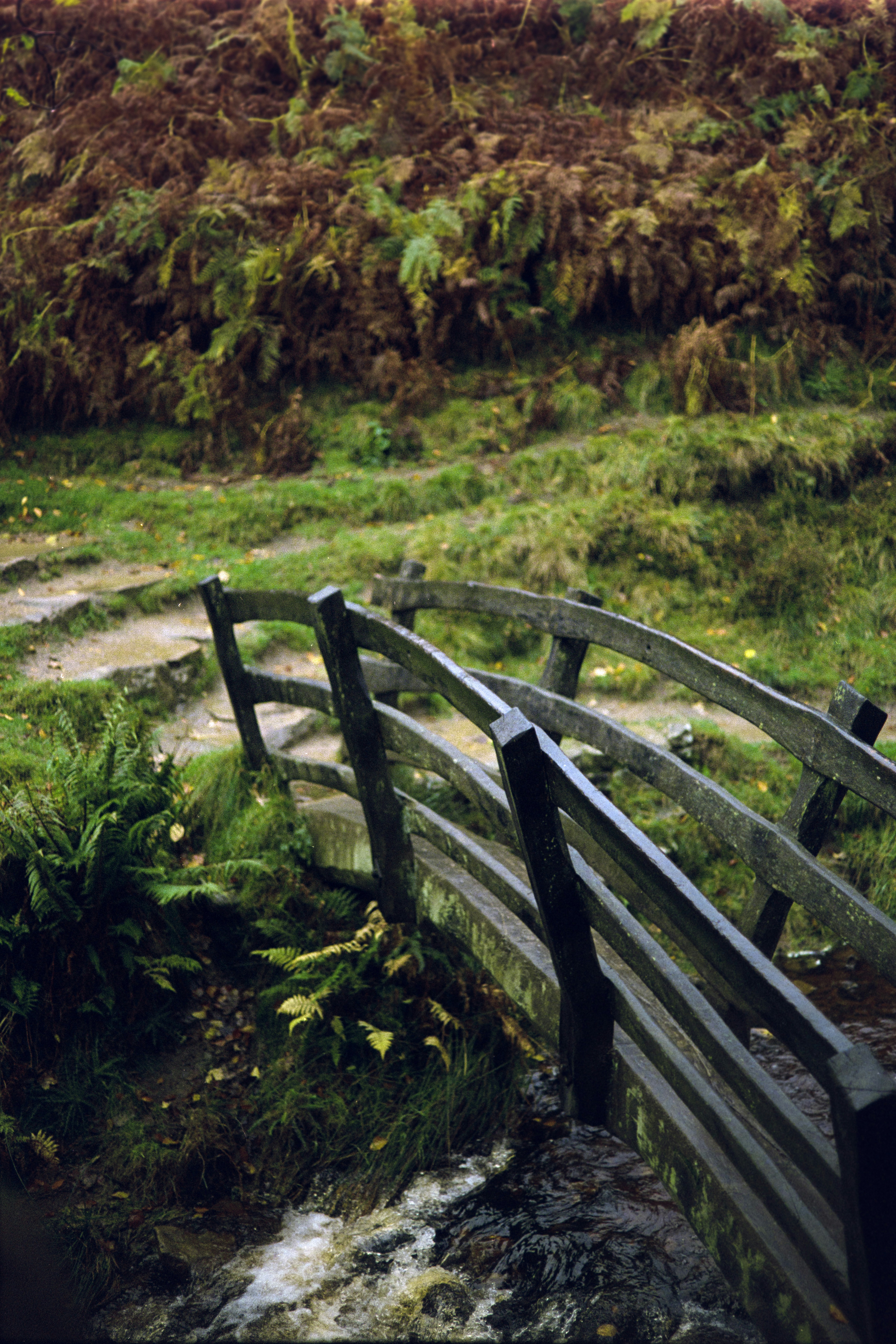 Photo by babikacharava