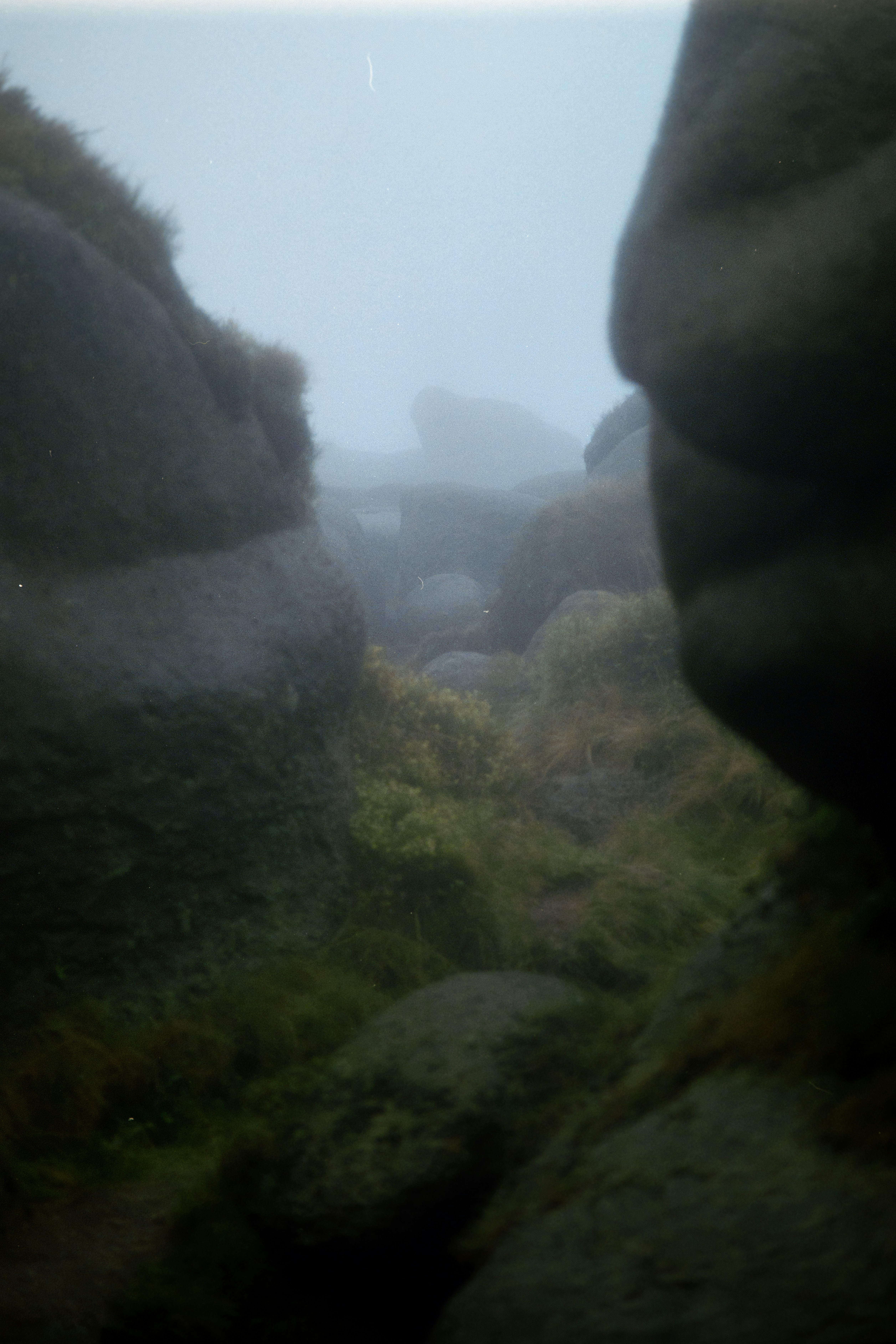 a blurry photo of rocks and grass on a foggy day