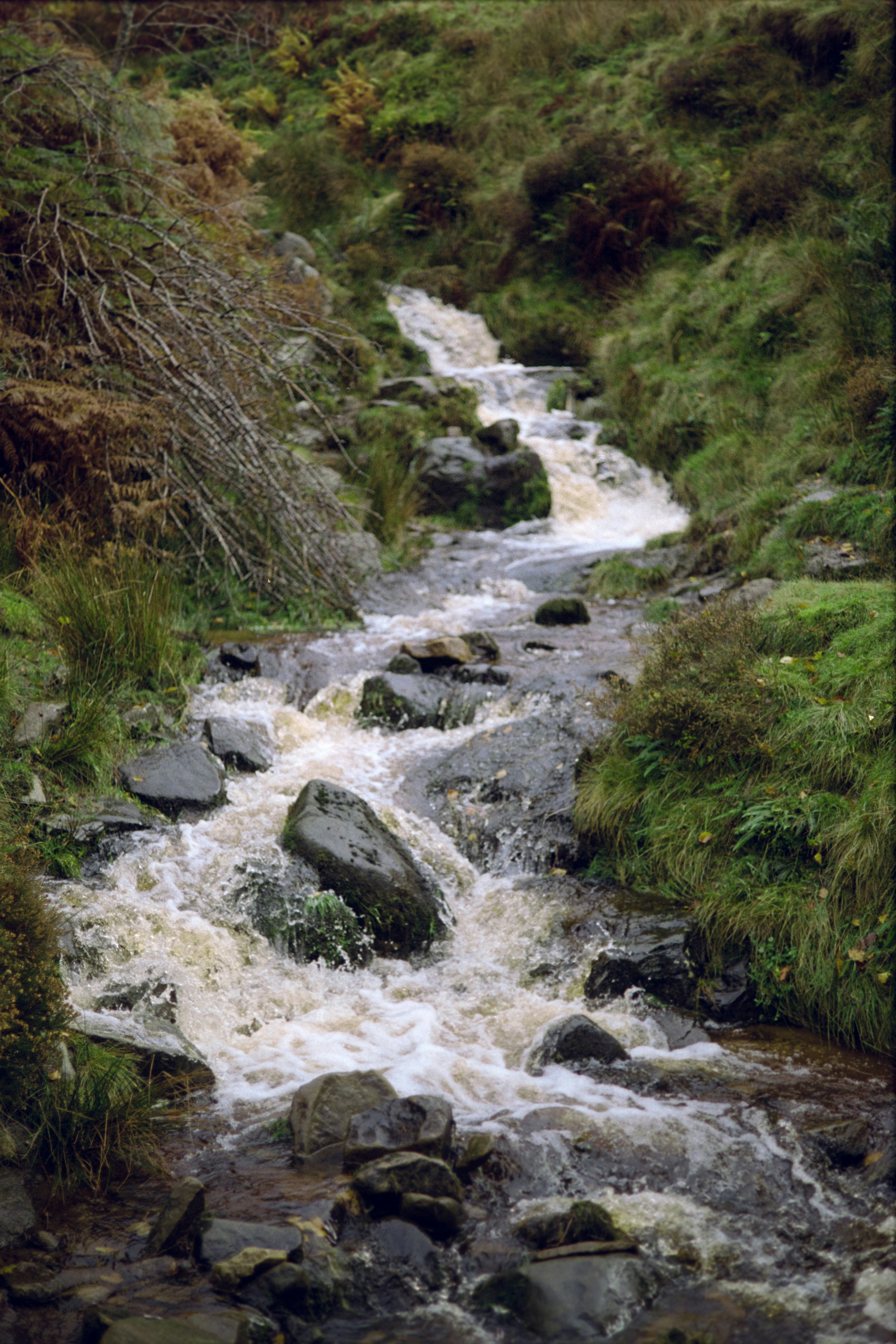 Photo by babikacharava