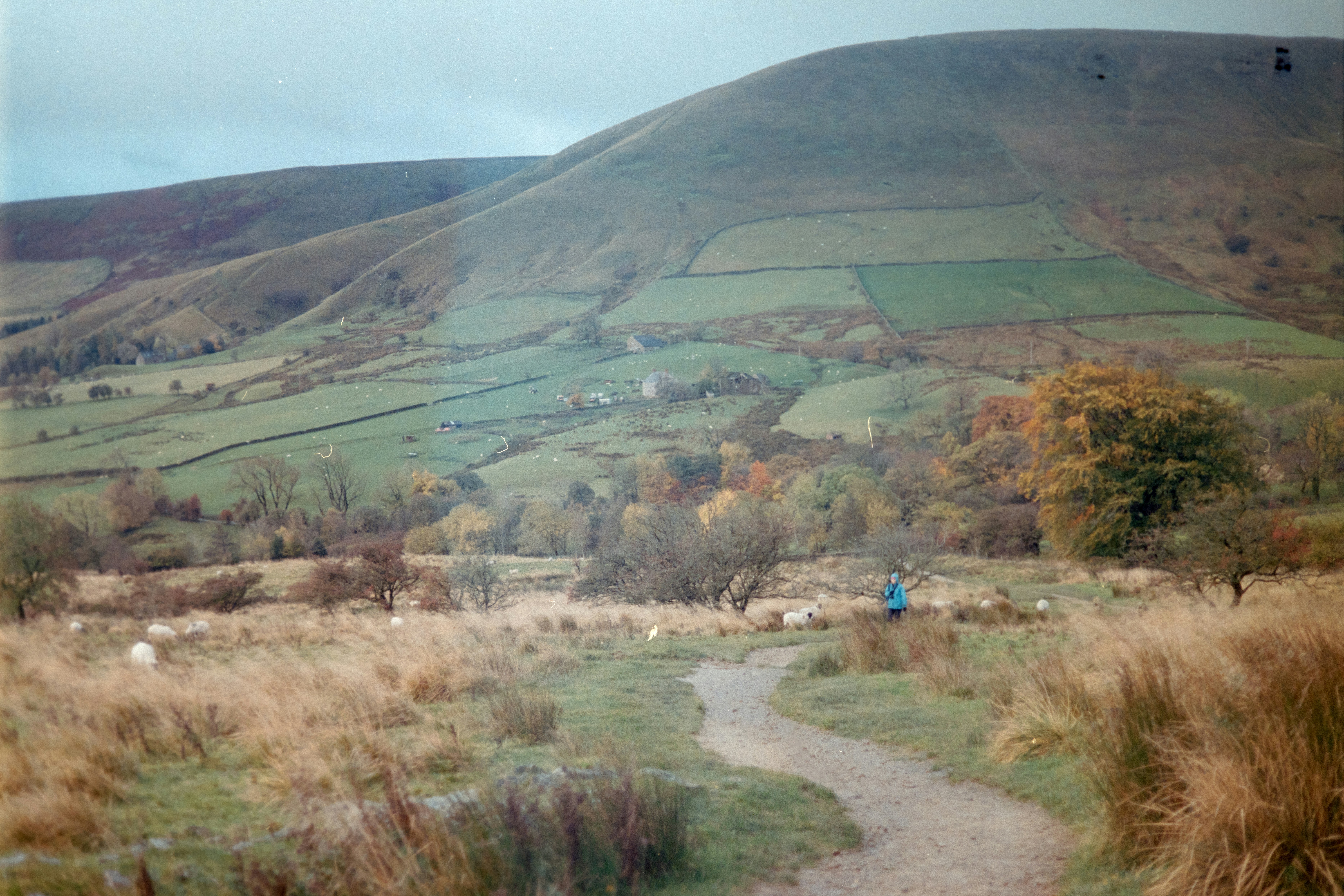 Photo by babikacharava