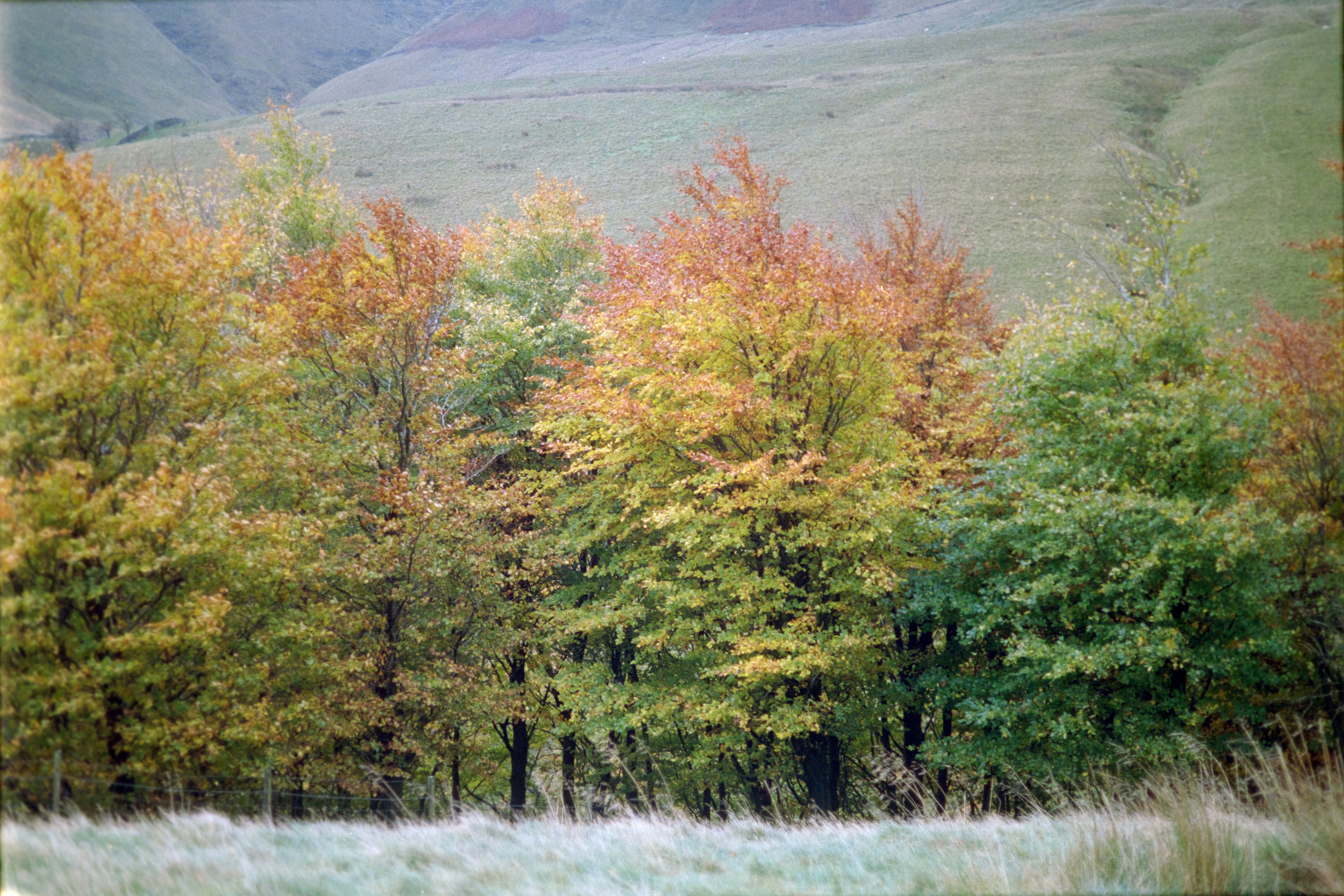 Photo by babikacharava