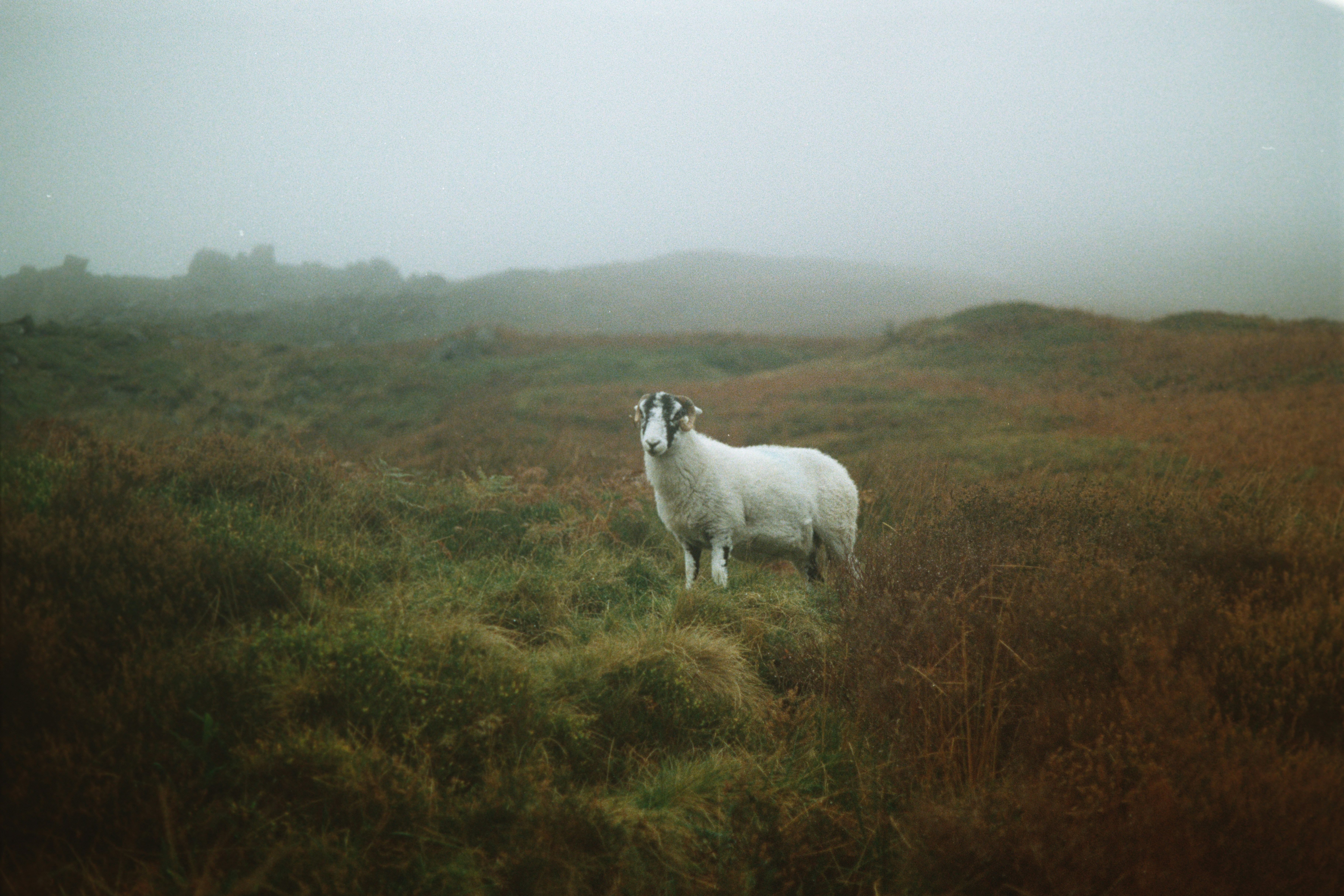 Photo by babikacharava