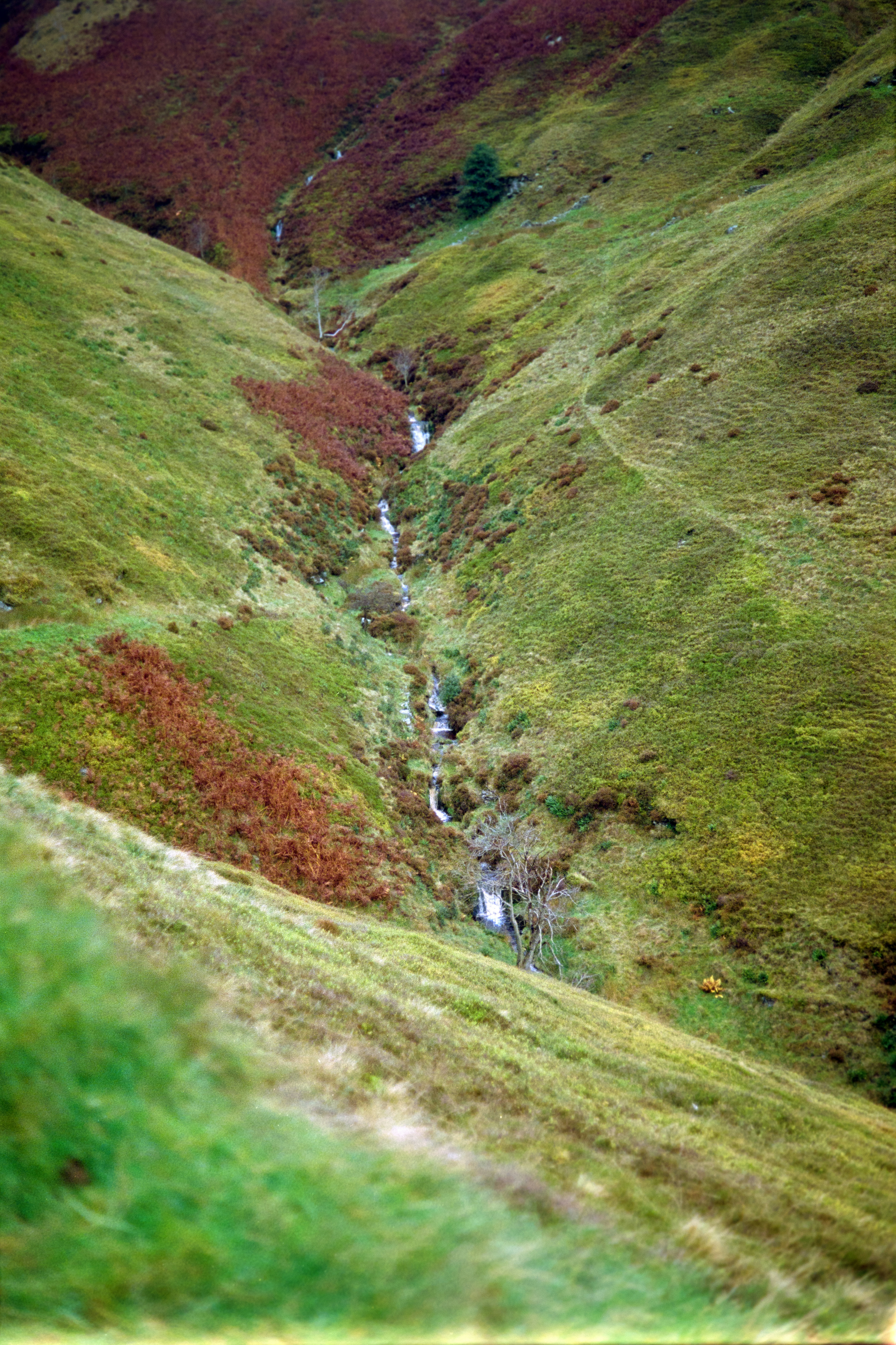 Photo by babikacharava