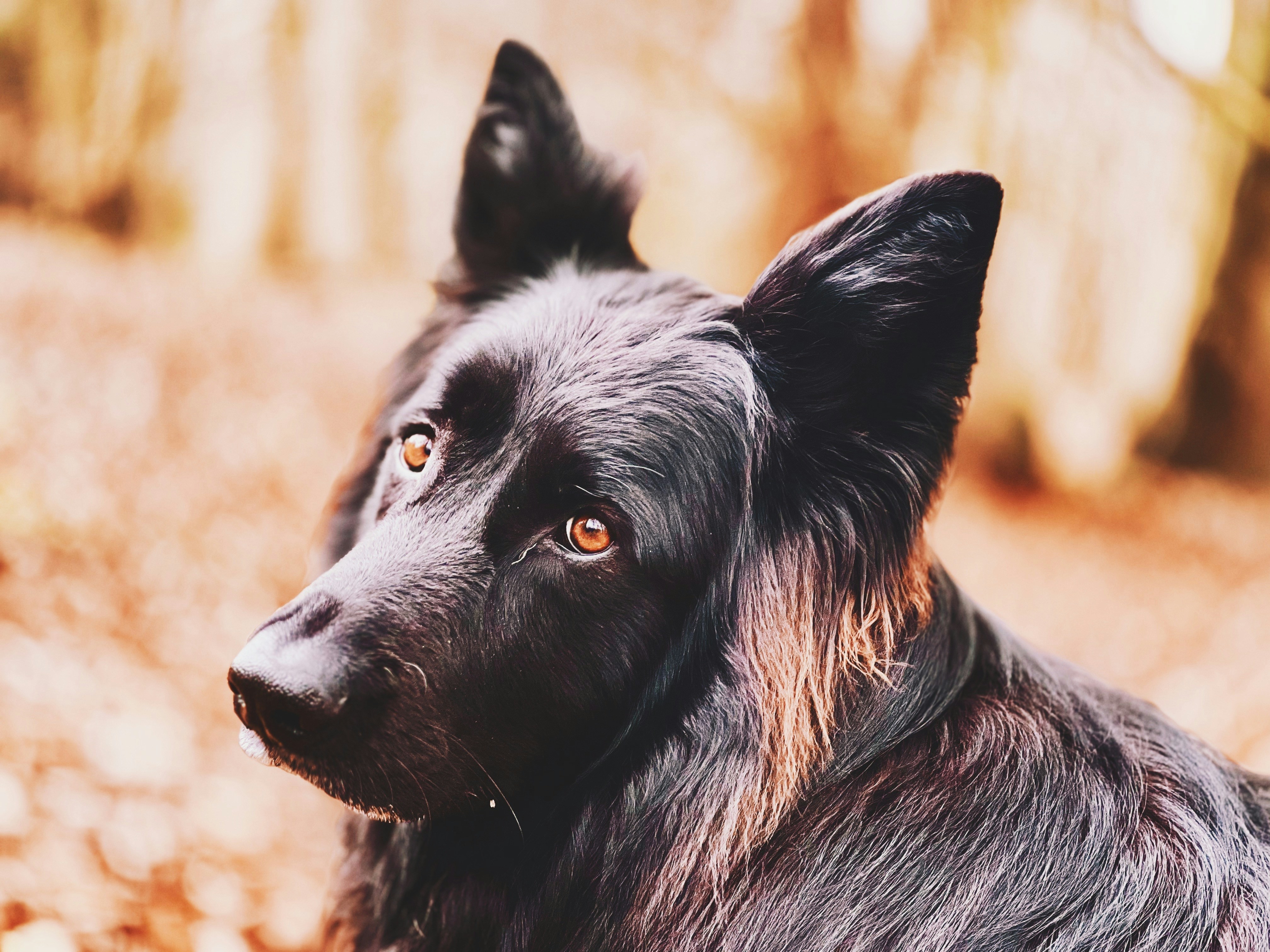 Photo by smithographic