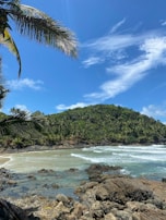 a sandy beach with a palm tree and a mountain in the background