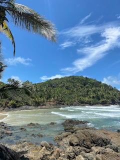a sandy beach with a palm tree and a mountain in the background