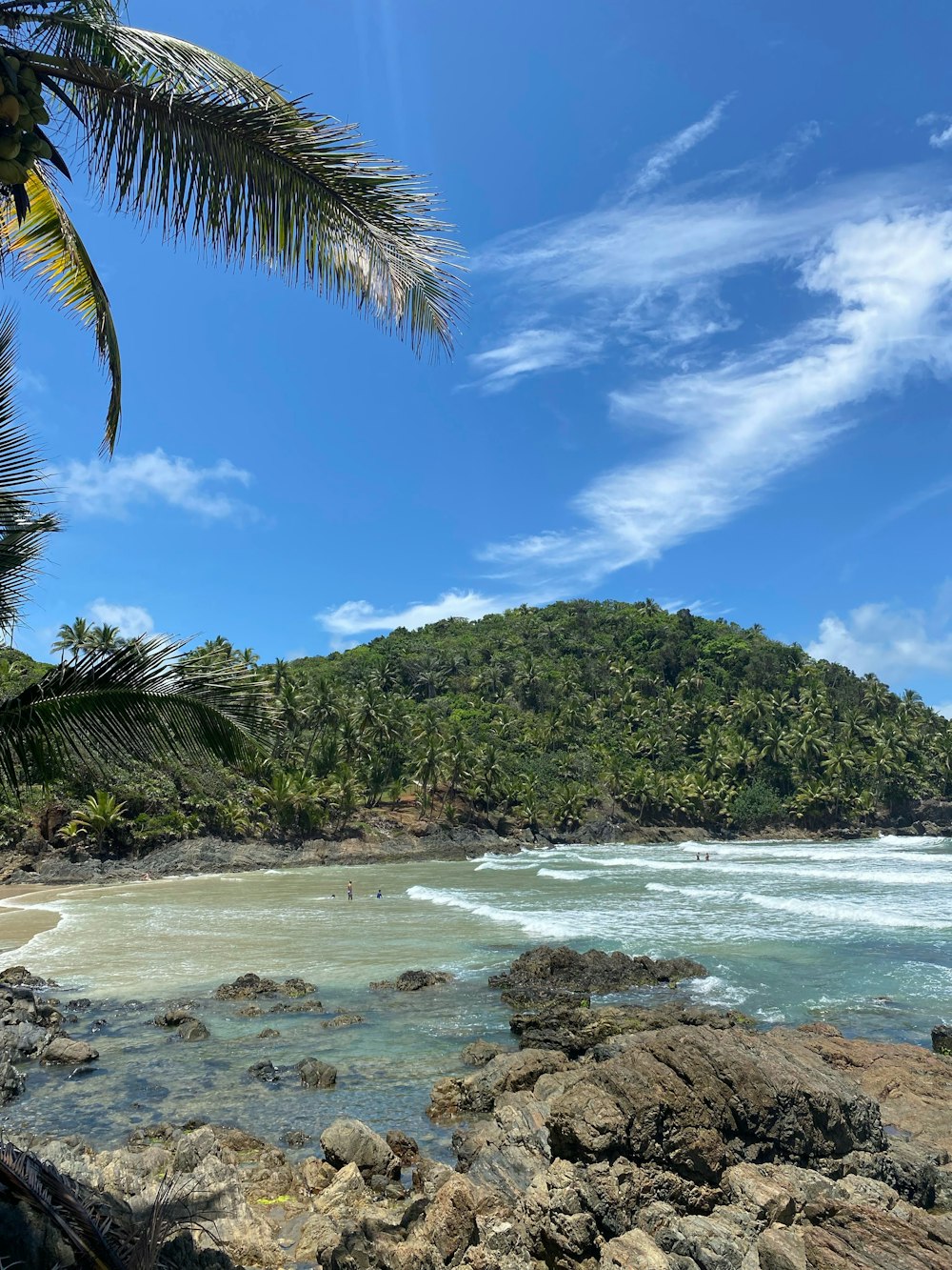 a sandy beach with a palm tree and a mountain in the background