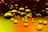 A collection of various-sized oil droplets is floating on the surface of a liquid. The droplets have a reflective quality, capturing the warm hues of yellow and orange from the background.