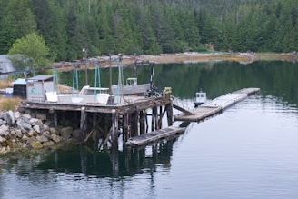 A dock extending into calm water with a sauna nearby.