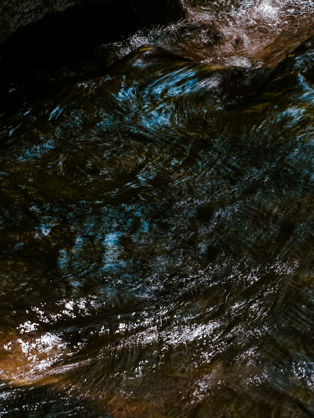 a bird is standing in a stream of water